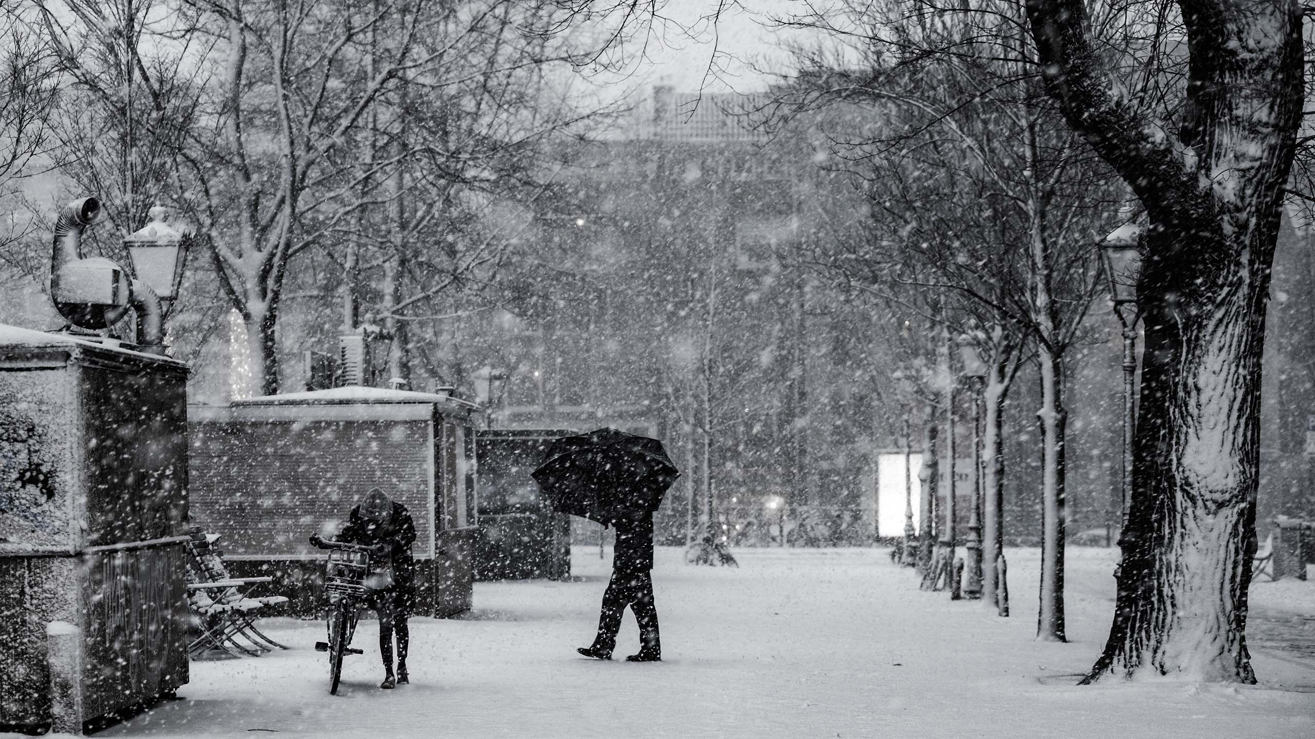 Charl Van Rooy walking in the snow HD Wallpaper