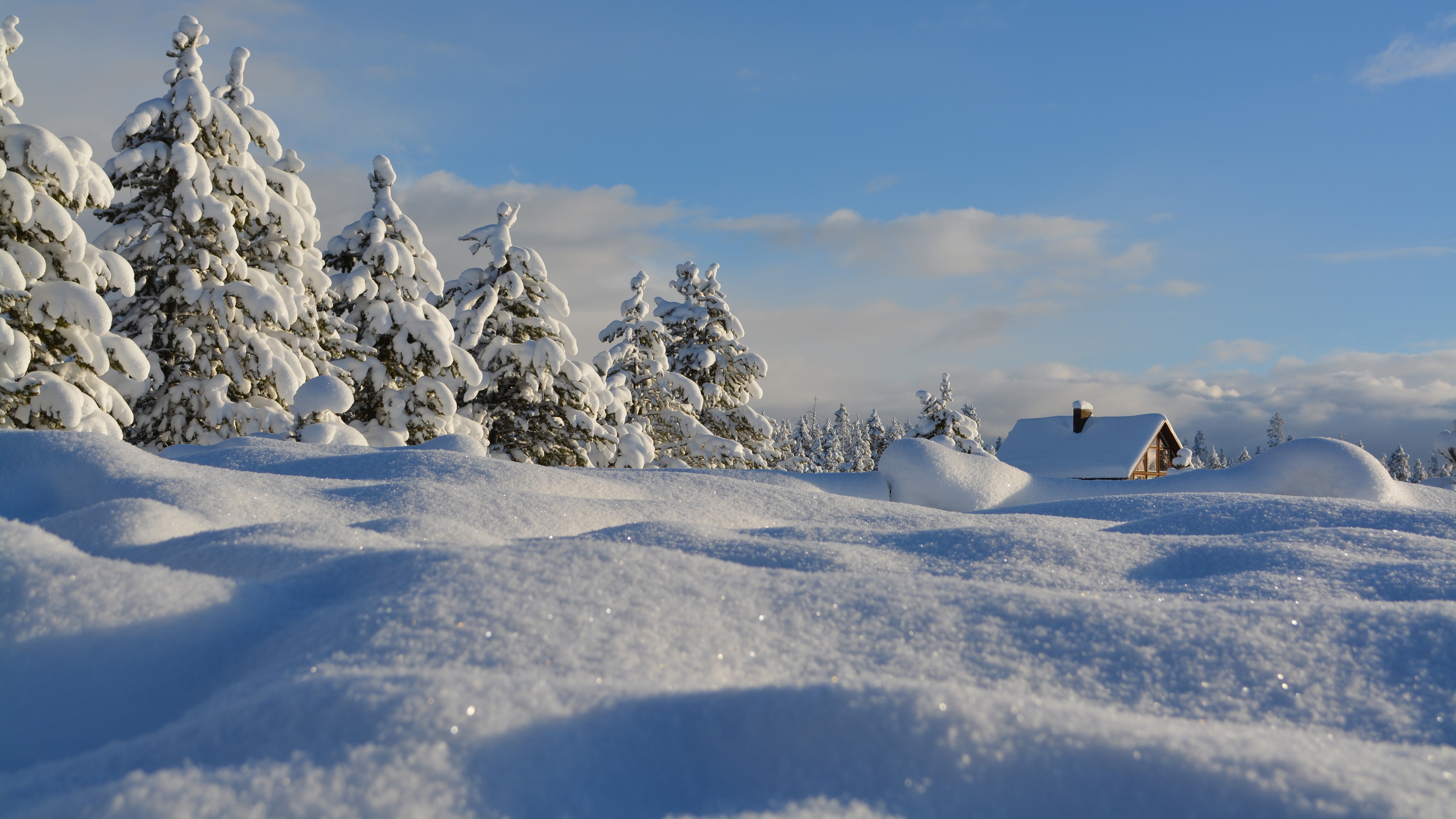 4K snow covered pine trees and log cabin in winter HD Wallpaper