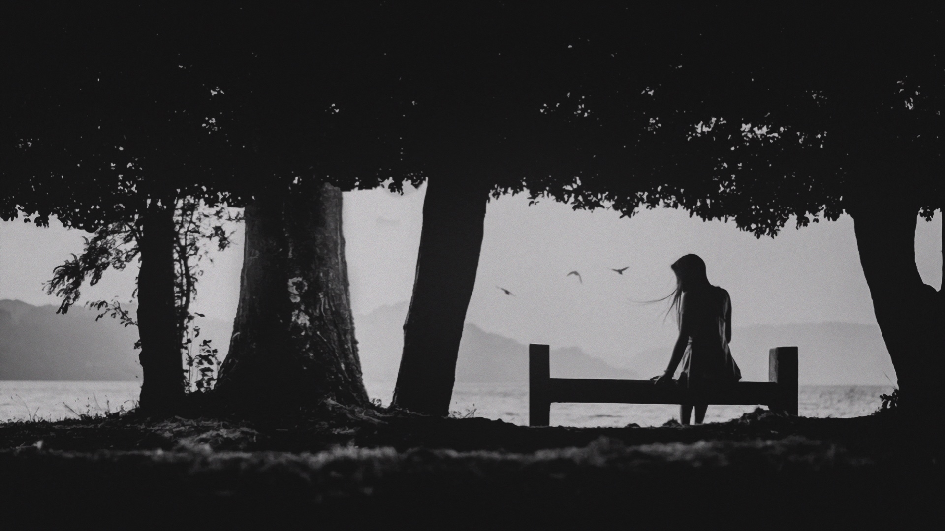 Silhouette of a woman on a bench under trees HD Wallpaper