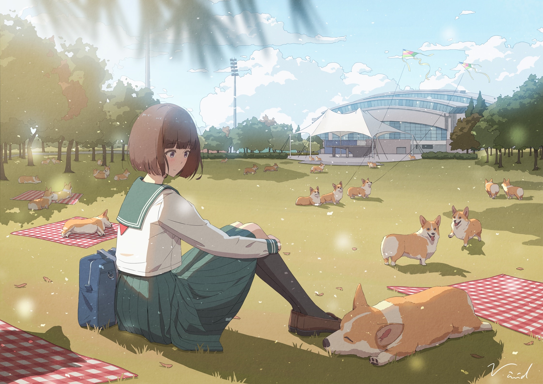 Girl with Pembroke Welsh Corgis in a Park HD Wallpaper