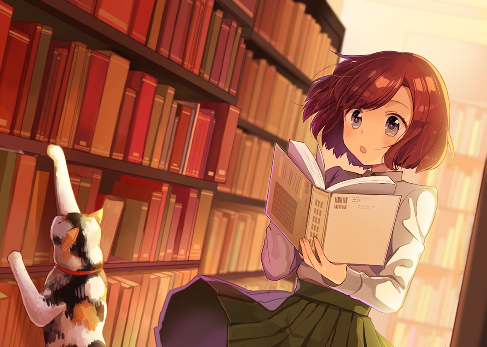 Anime girl reading a book with a cat in a library HD Wallpaper