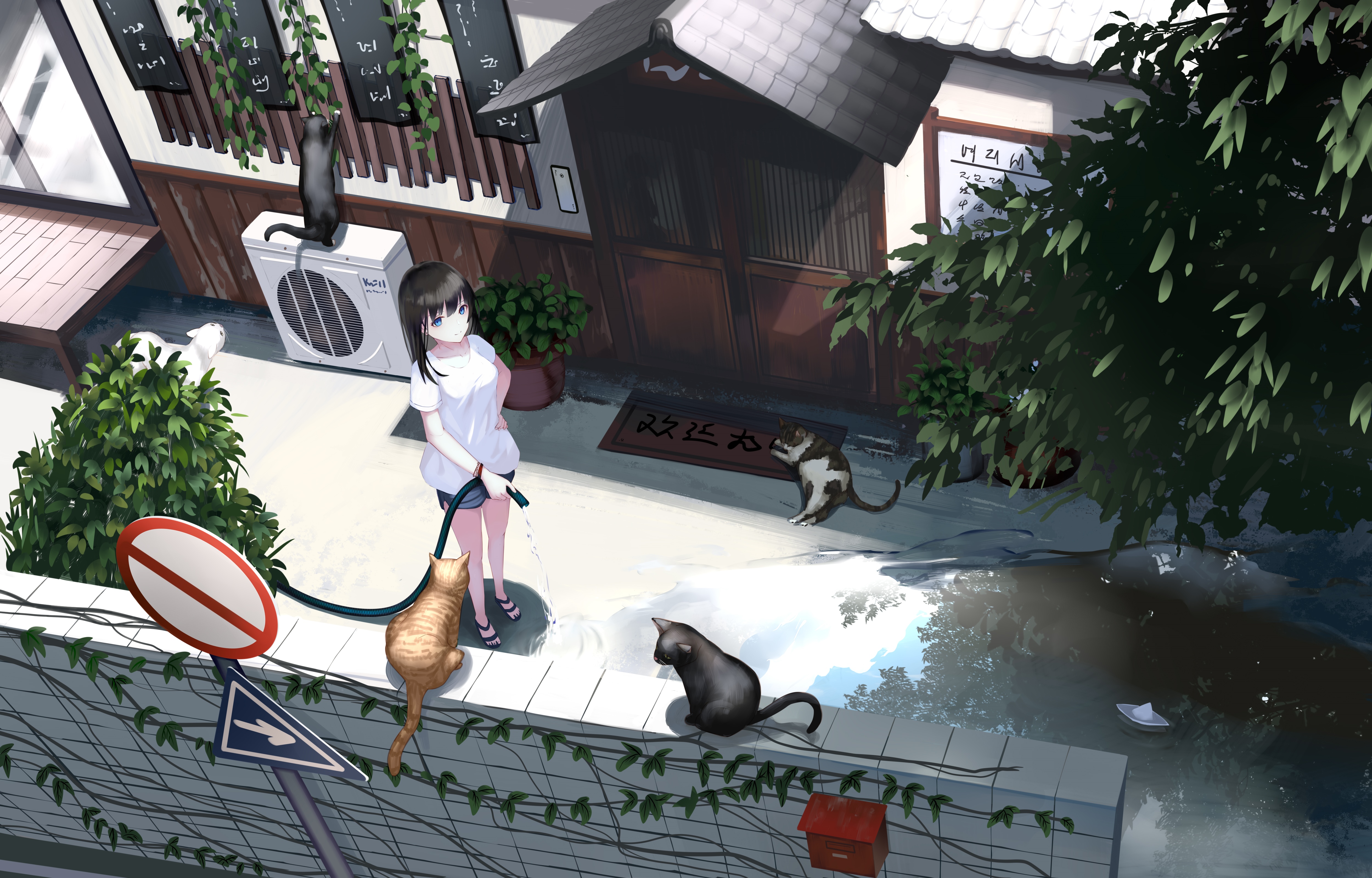 Girl watering cats outside a shop HD Wallpaper