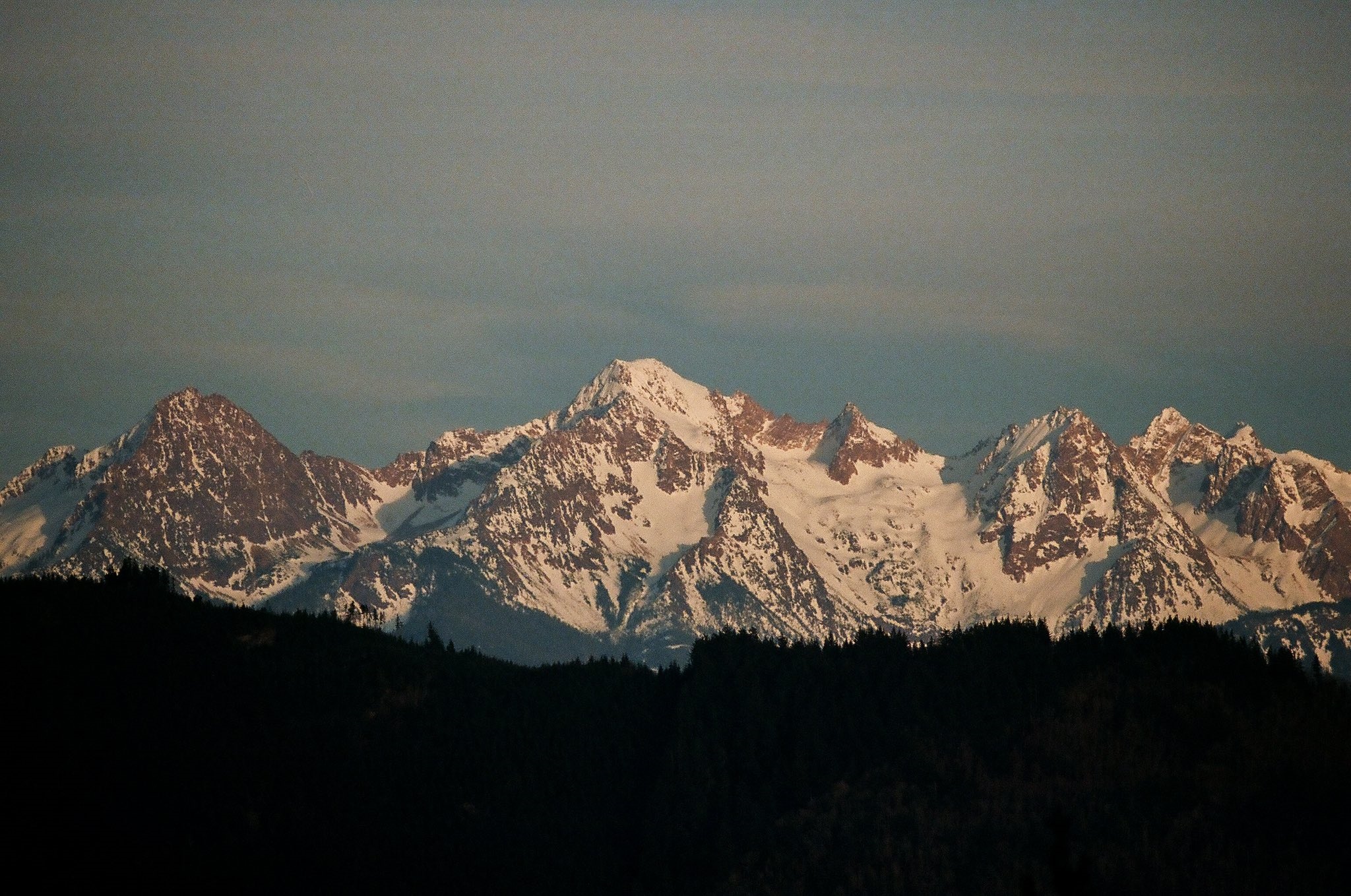 Snowy mountains with a dark forest in the foreground HD Wallpaper