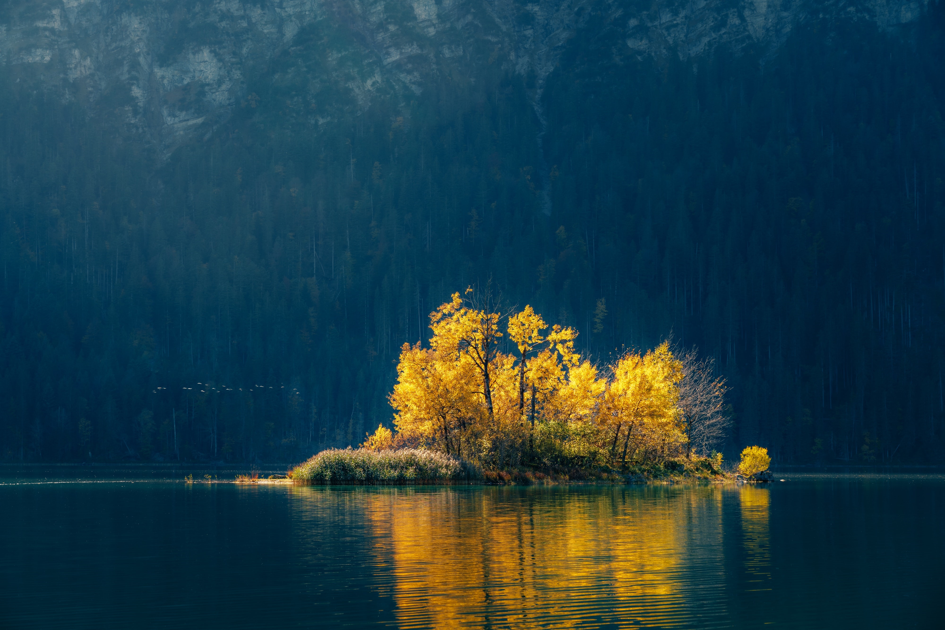 Island with yellow trees on a lake HD Wallpaper