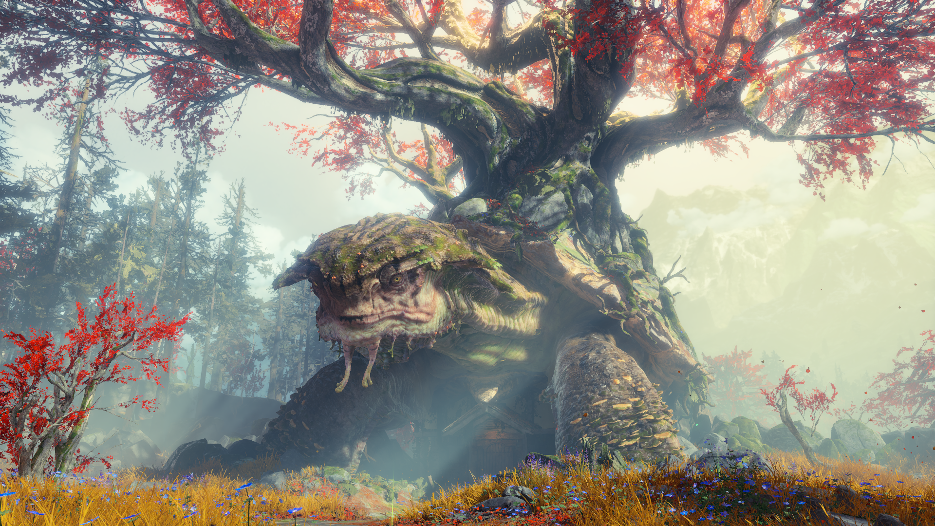 God of War: The Great Turtle and the Great Tree HD Wallpaper