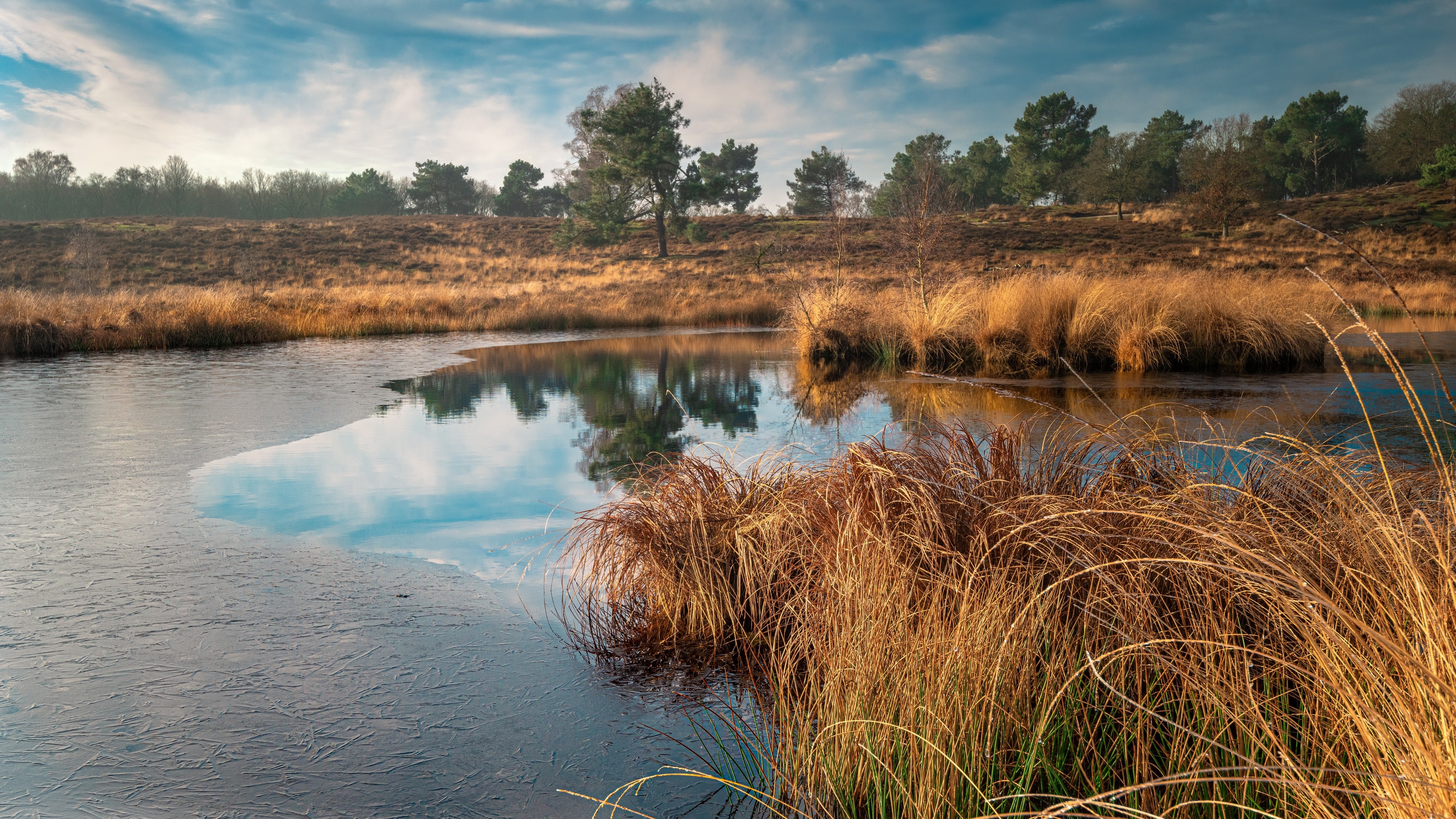 4K nature landscape with frozen lake and dry grass HD Wallpaper