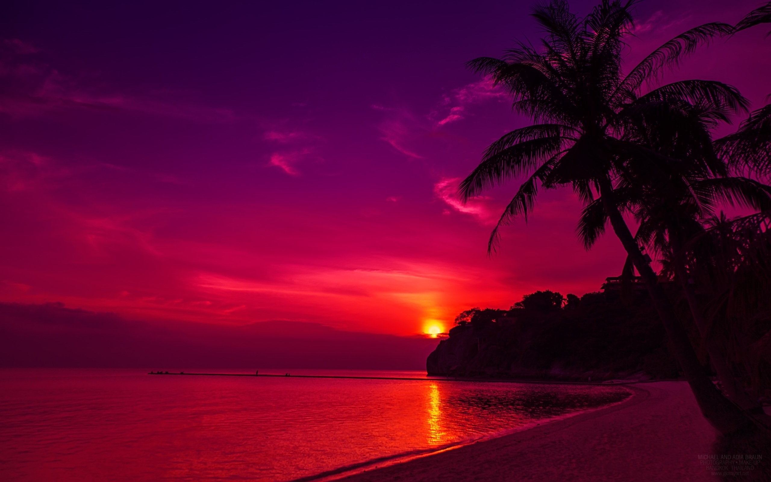 Sunset over the ocean with palm trees on the beach HD Wallpaper