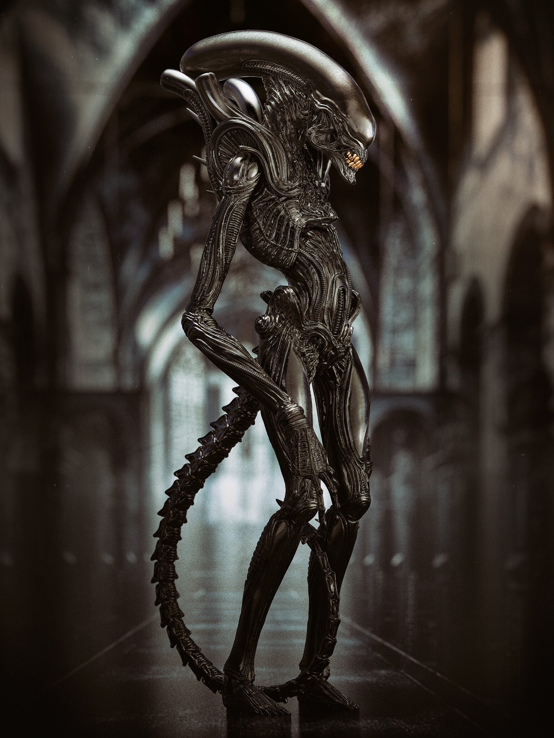 Xenomorph creature from Alien franchise HD Phone Wallpaper