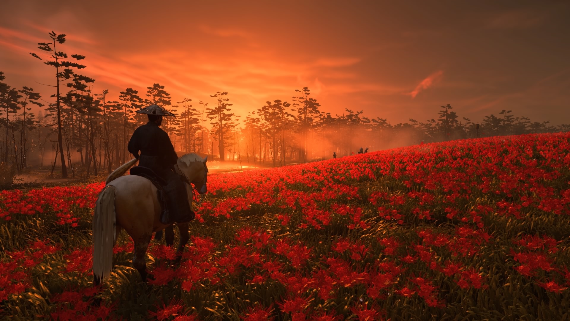 Ghost of Tsushima: Samurai on horseback in a field of red flowers at sunset HD Wallpaper