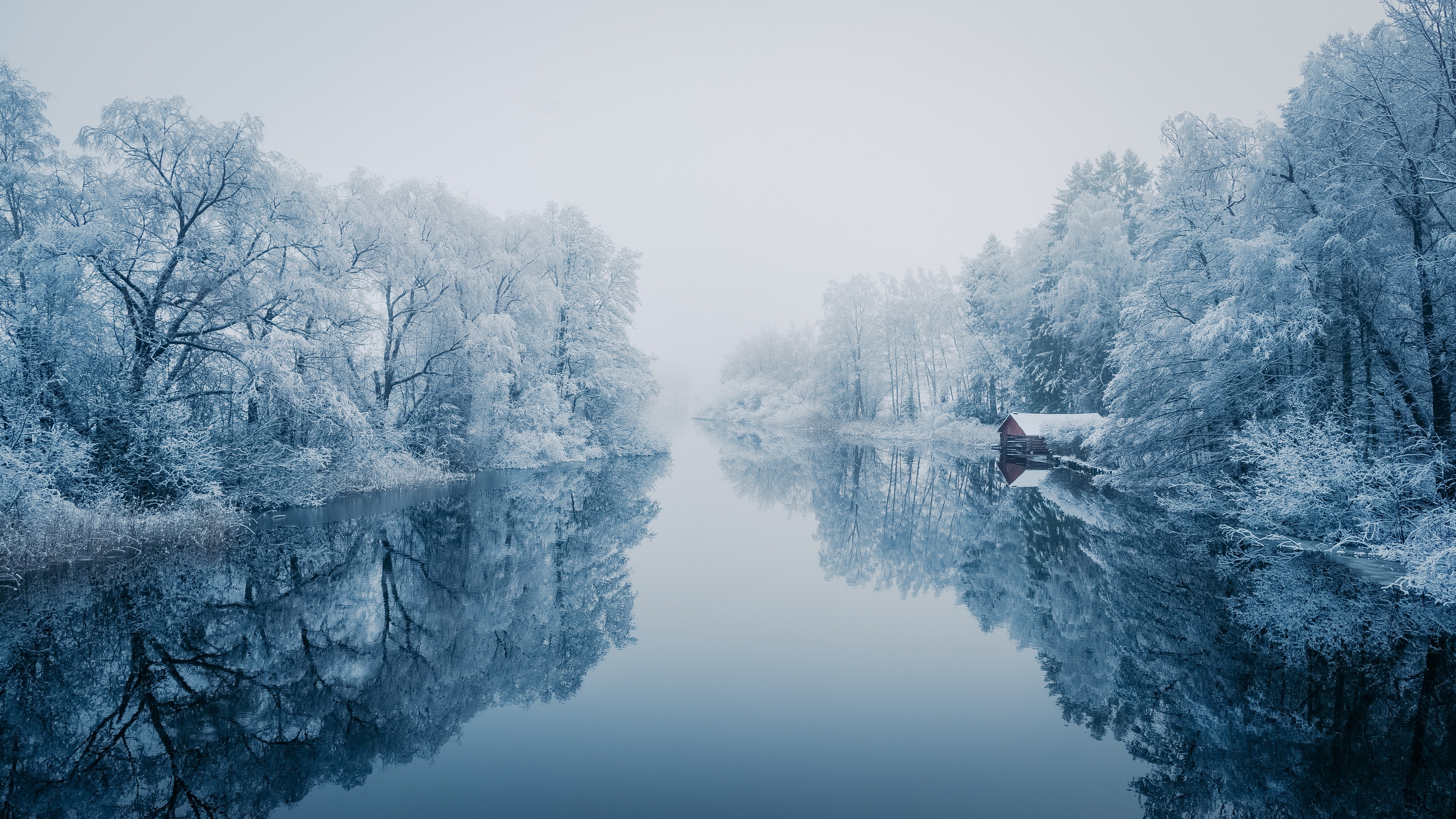 Winter river with snow-covered trees and reflection HD Wallpaper