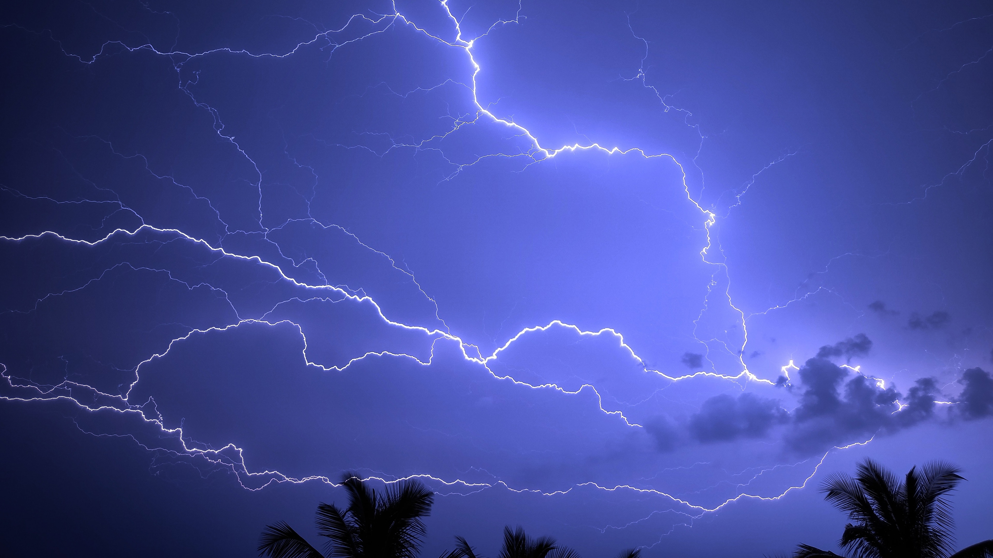 4K lightning storm over India with palm trees HD Wallpaper