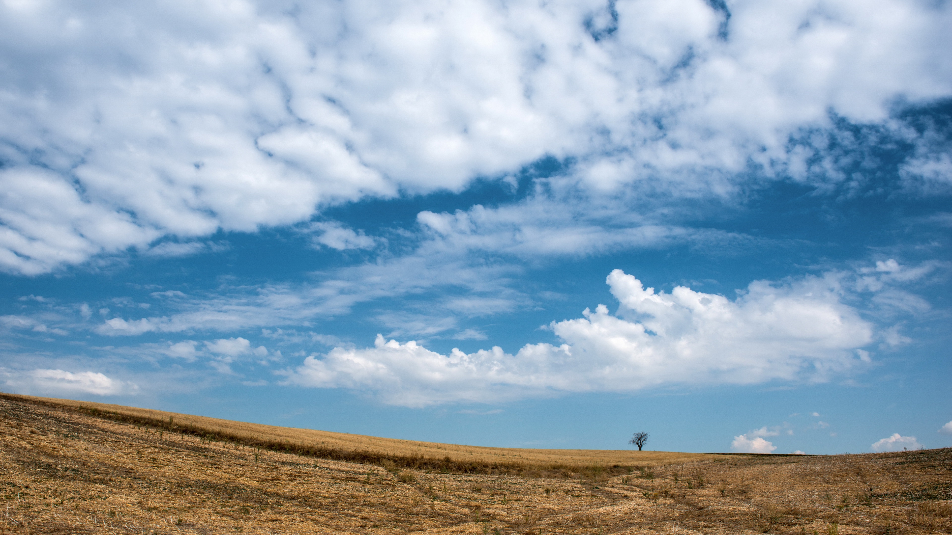 4K field landscape with clouds and sky HD Wallpaper