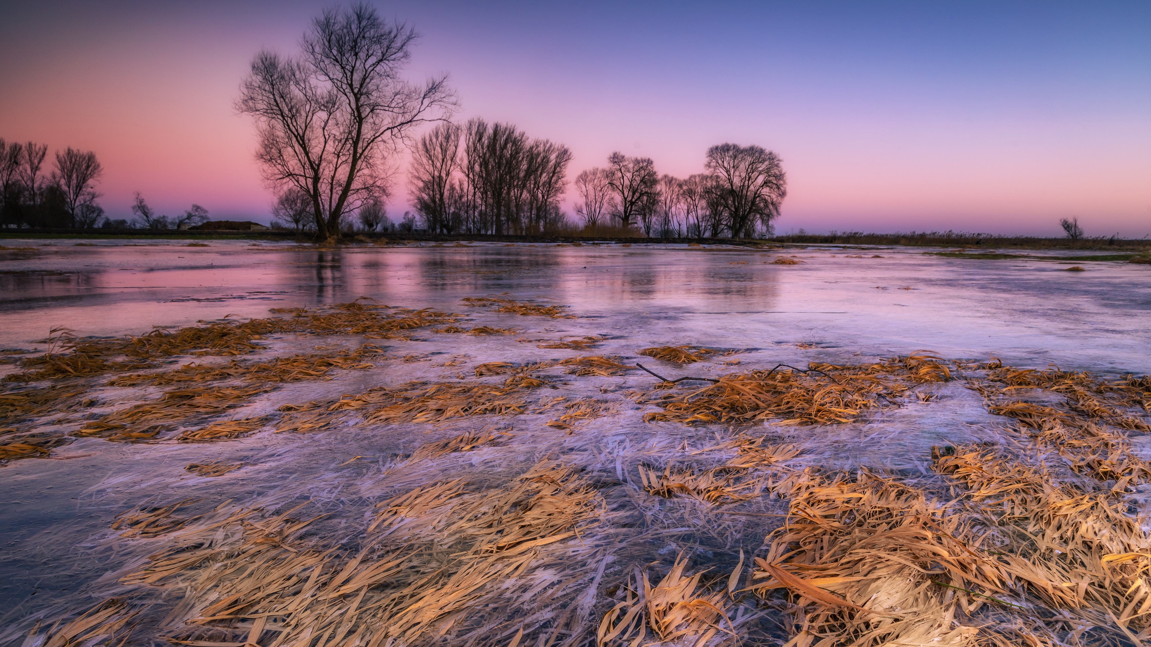 Frozen landscape with trees at sunset HD Wallpaper