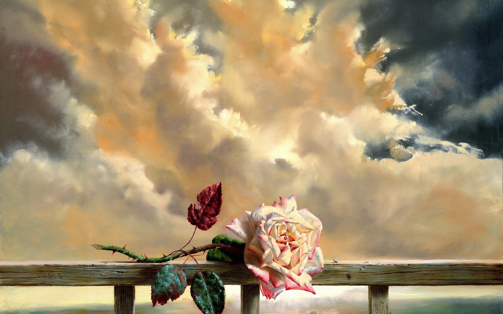 A single rose on a wooden railing against dramatic clouds HD Wallpaper