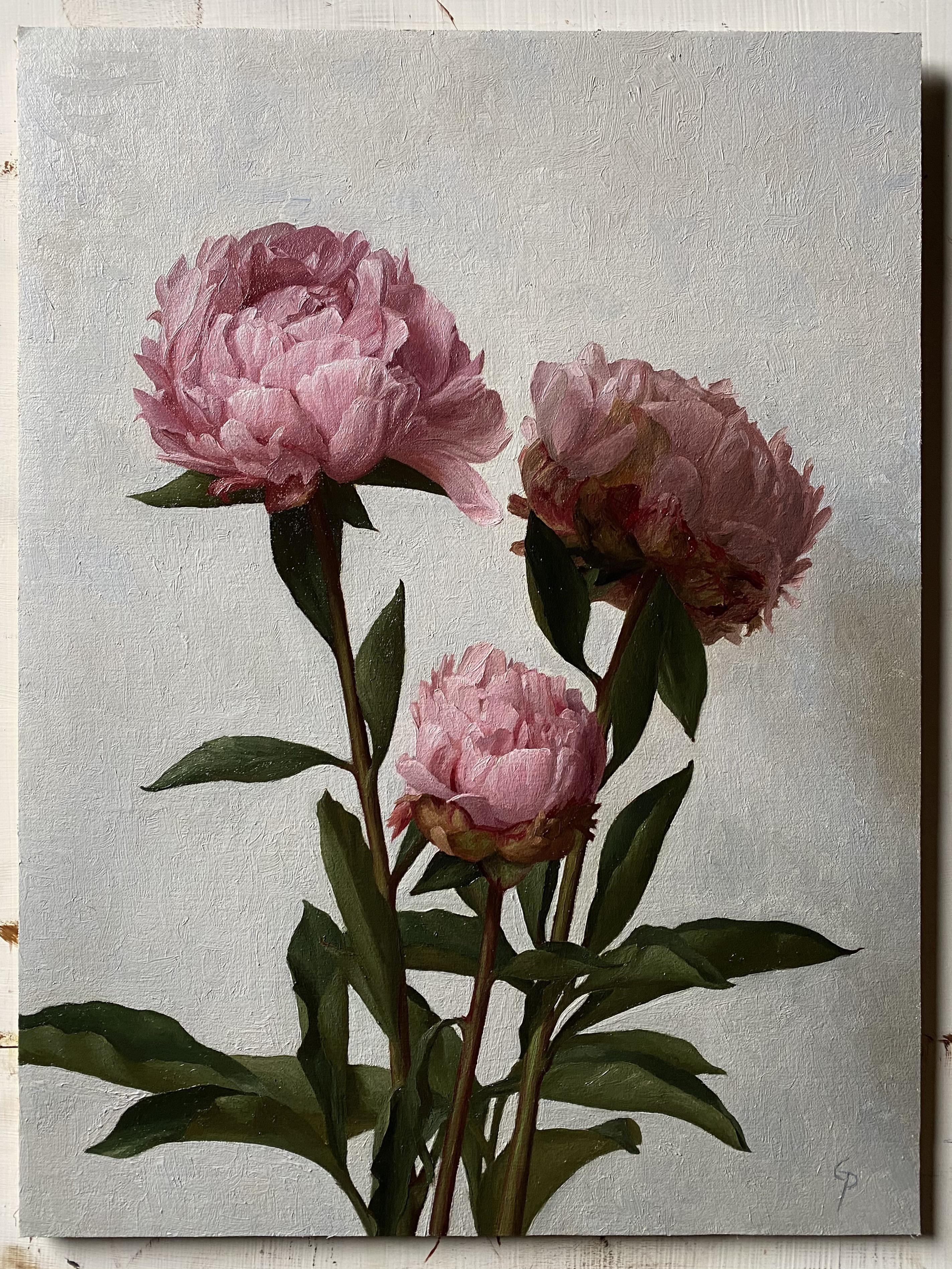 Painting of three pink peonies with green leaves HD Phone Wallpaper