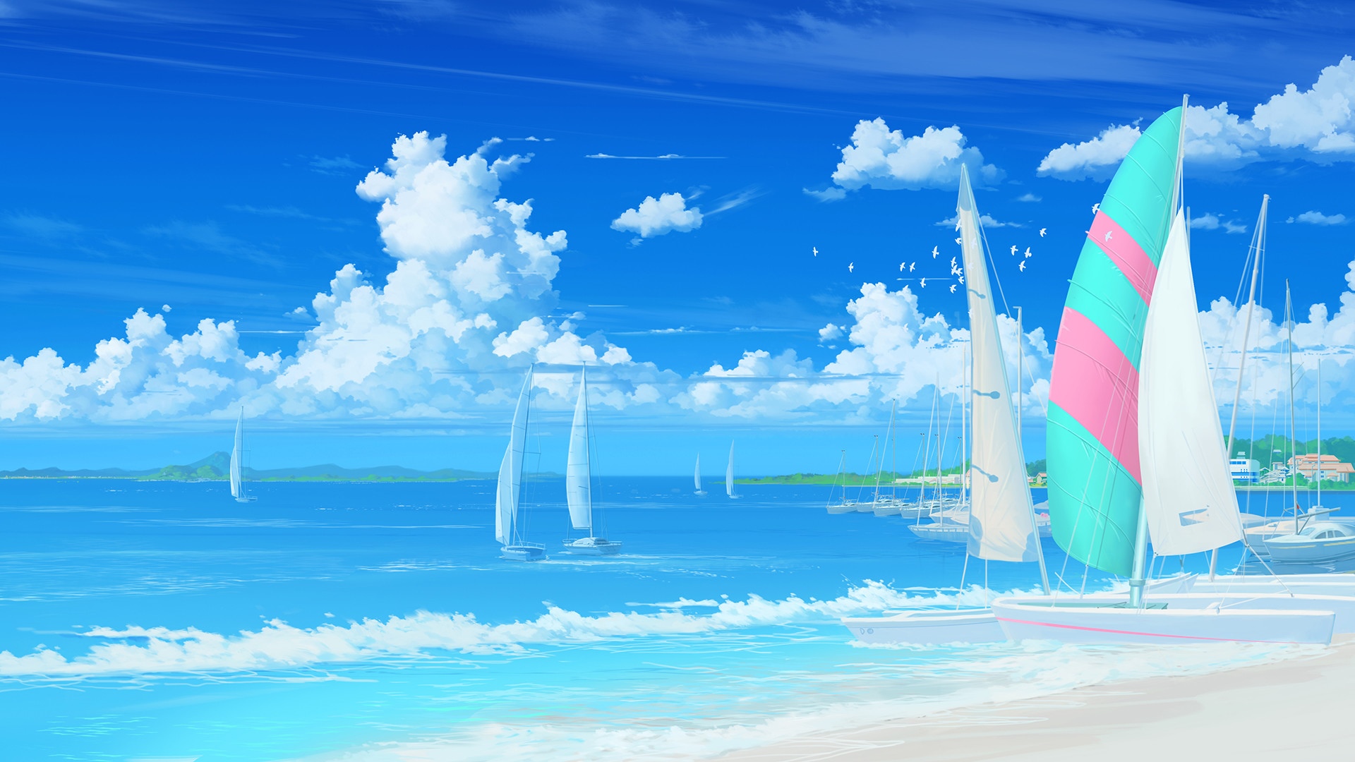 Sailboats on a bright blue day with fluffy clouds HD Wallpaper