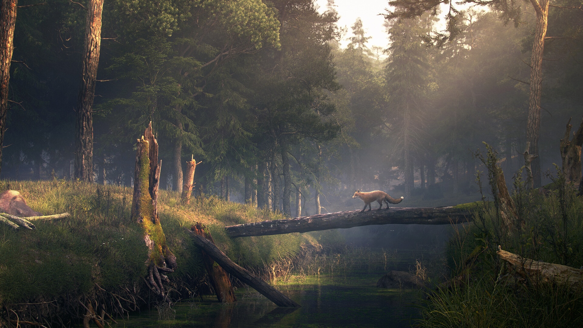 Fox walks on a log over a river in a forest HD Wallpaper
