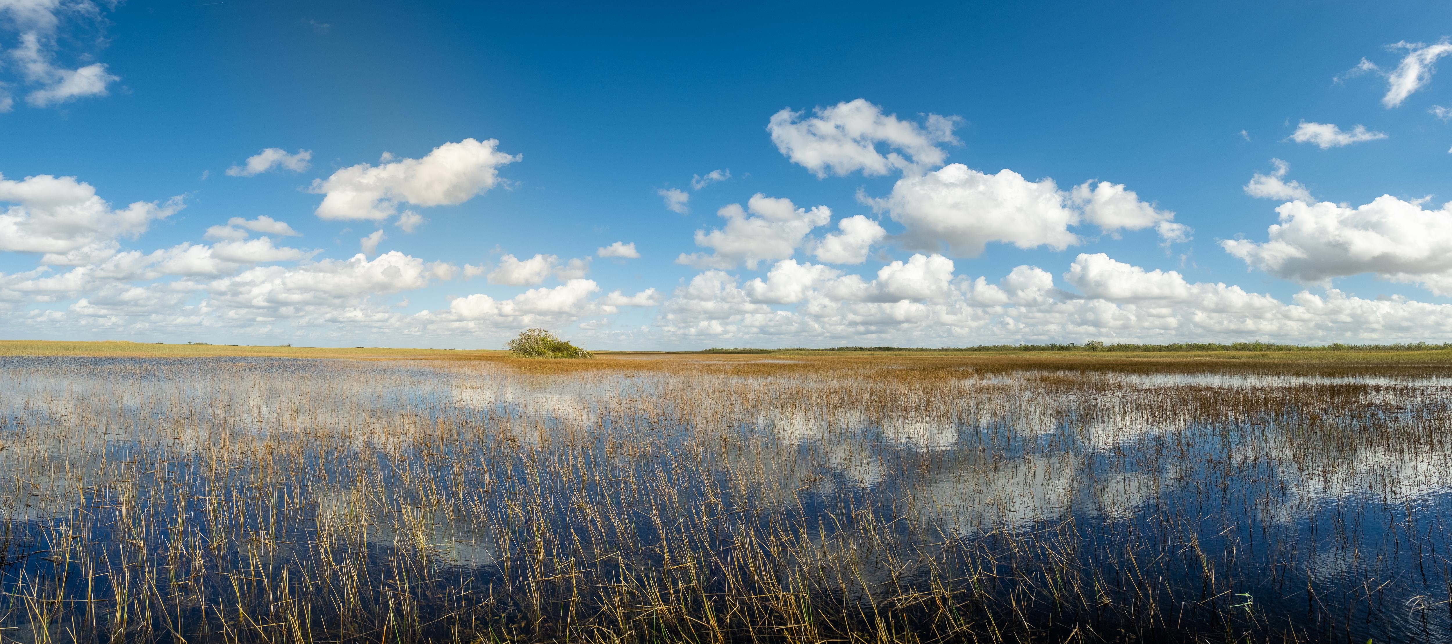 4K Everglades National Park Landscape with Clouds HD Wallpaper