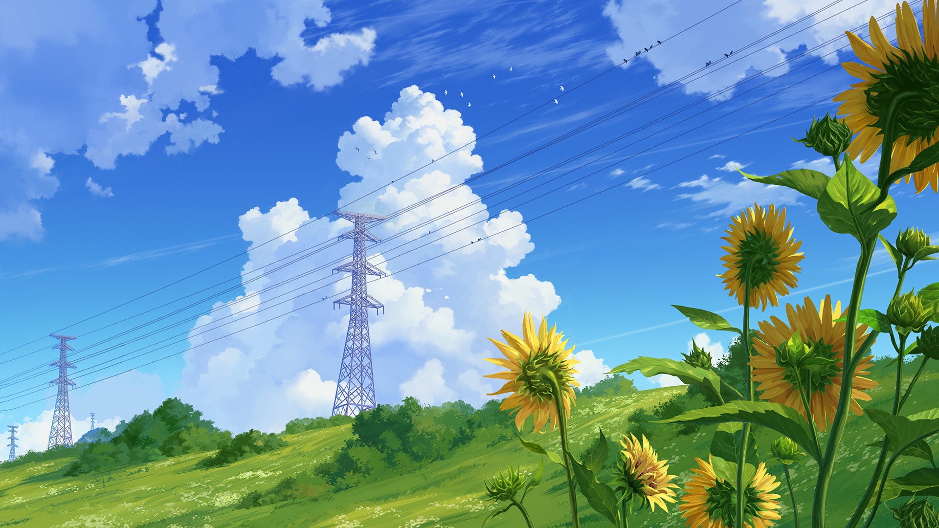 Sunflowers and power lines under a cloudy summer sky HD Wallpaper