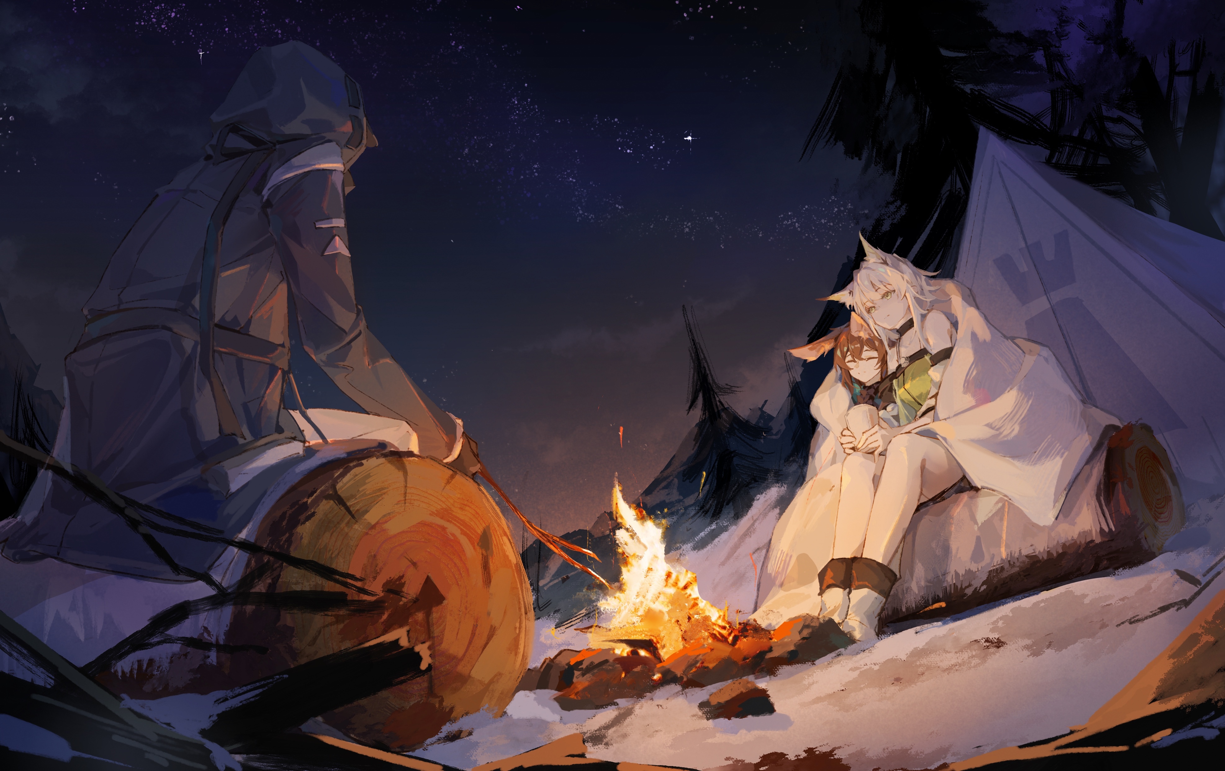 Arknights characters camping by a campfire at night HD Wallpaper