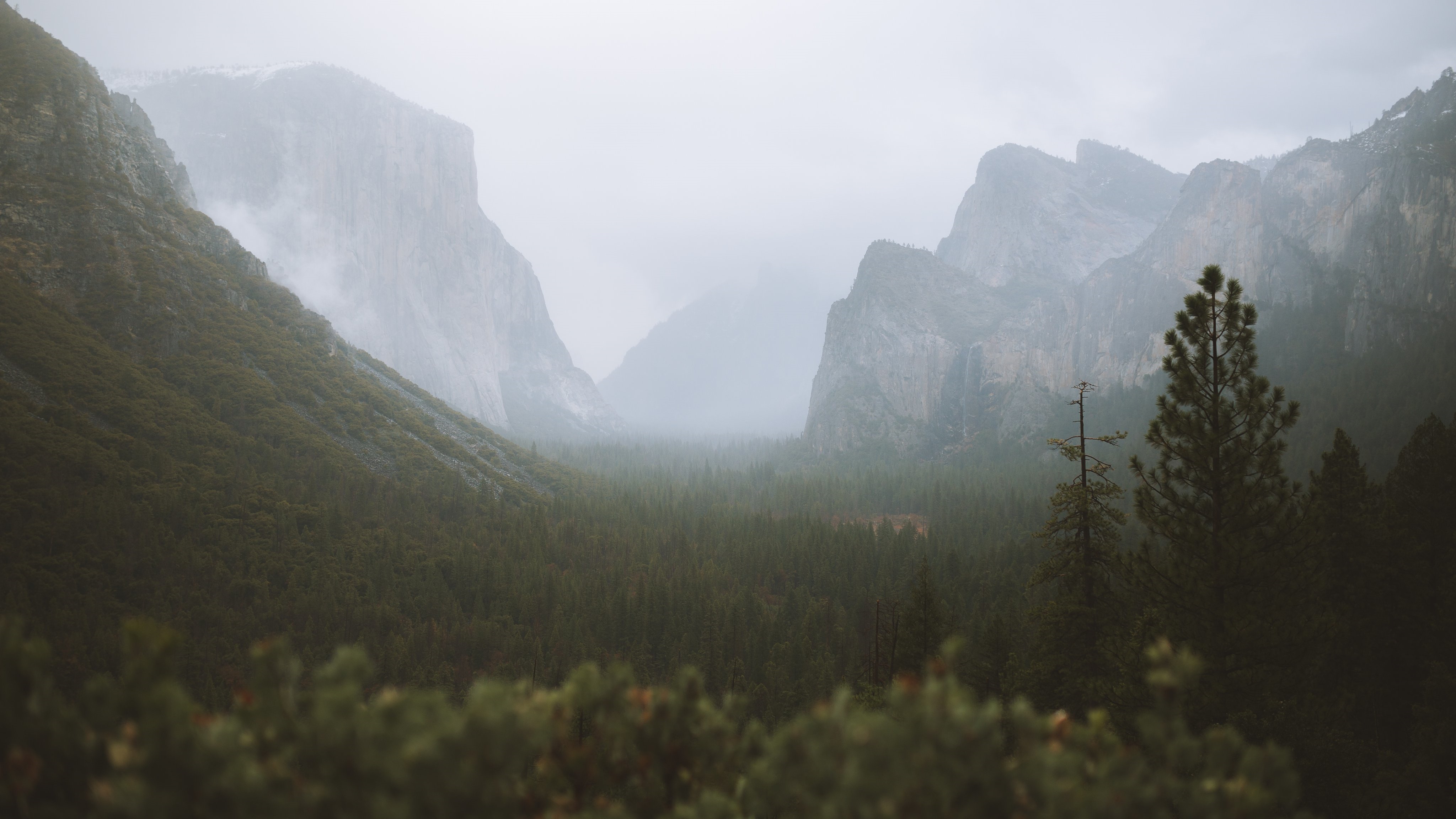 4K Yosemite National Park misty mountain landscape HD Wallpaper