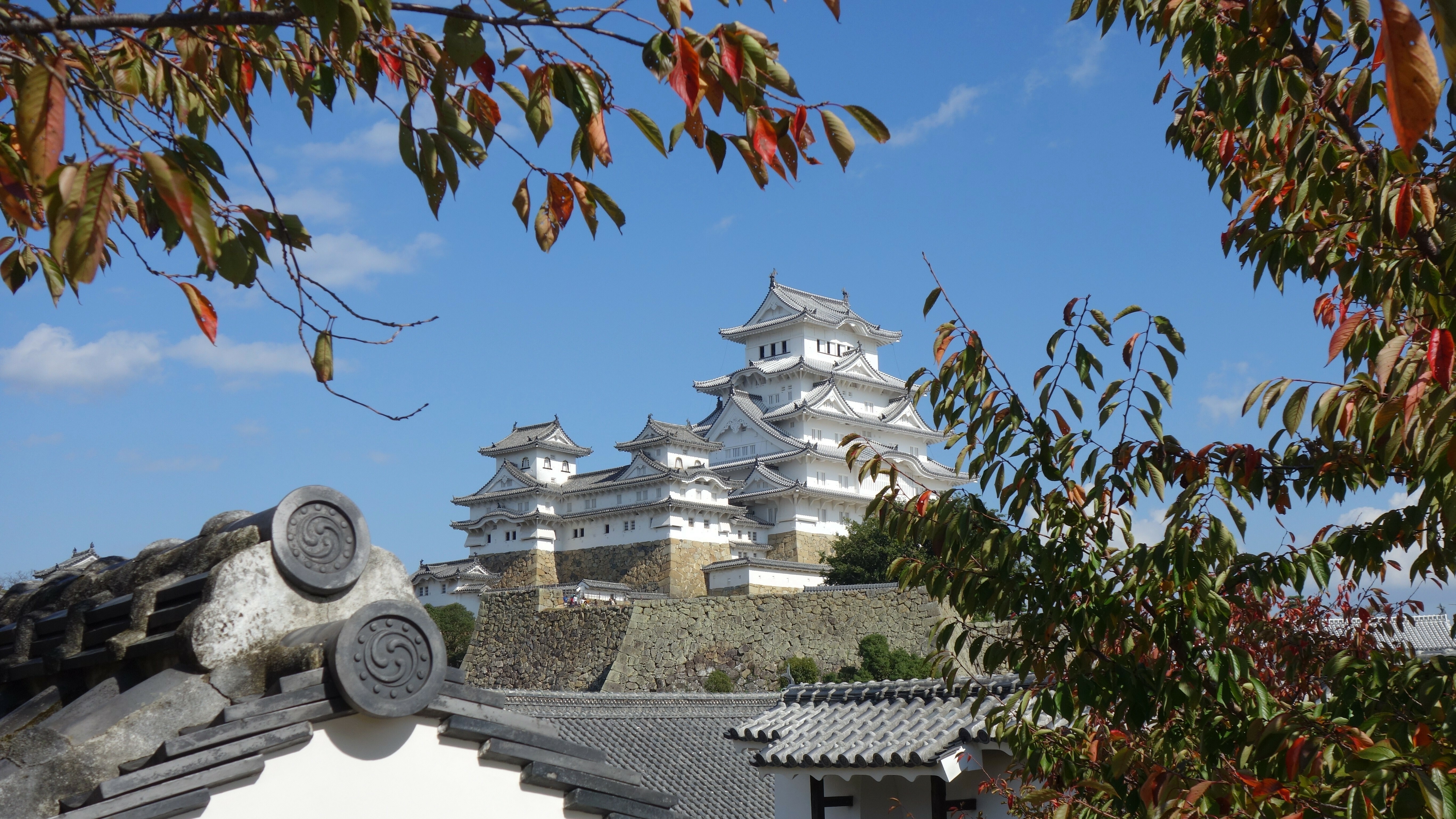 Himeji Castle in Japan during fall HD Wallpaper