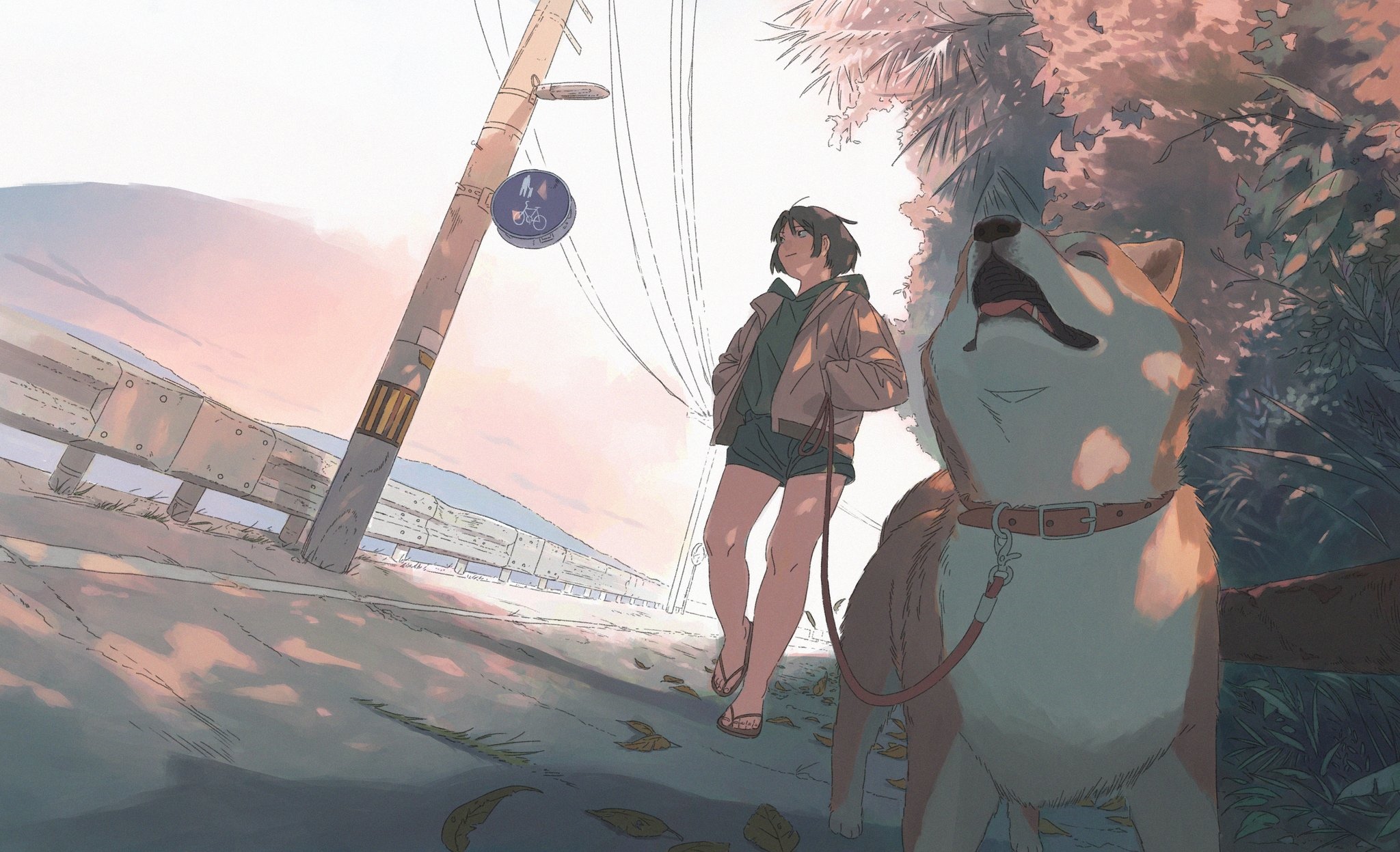 Woman walking a dog outdoors near a road HD Wallpaper