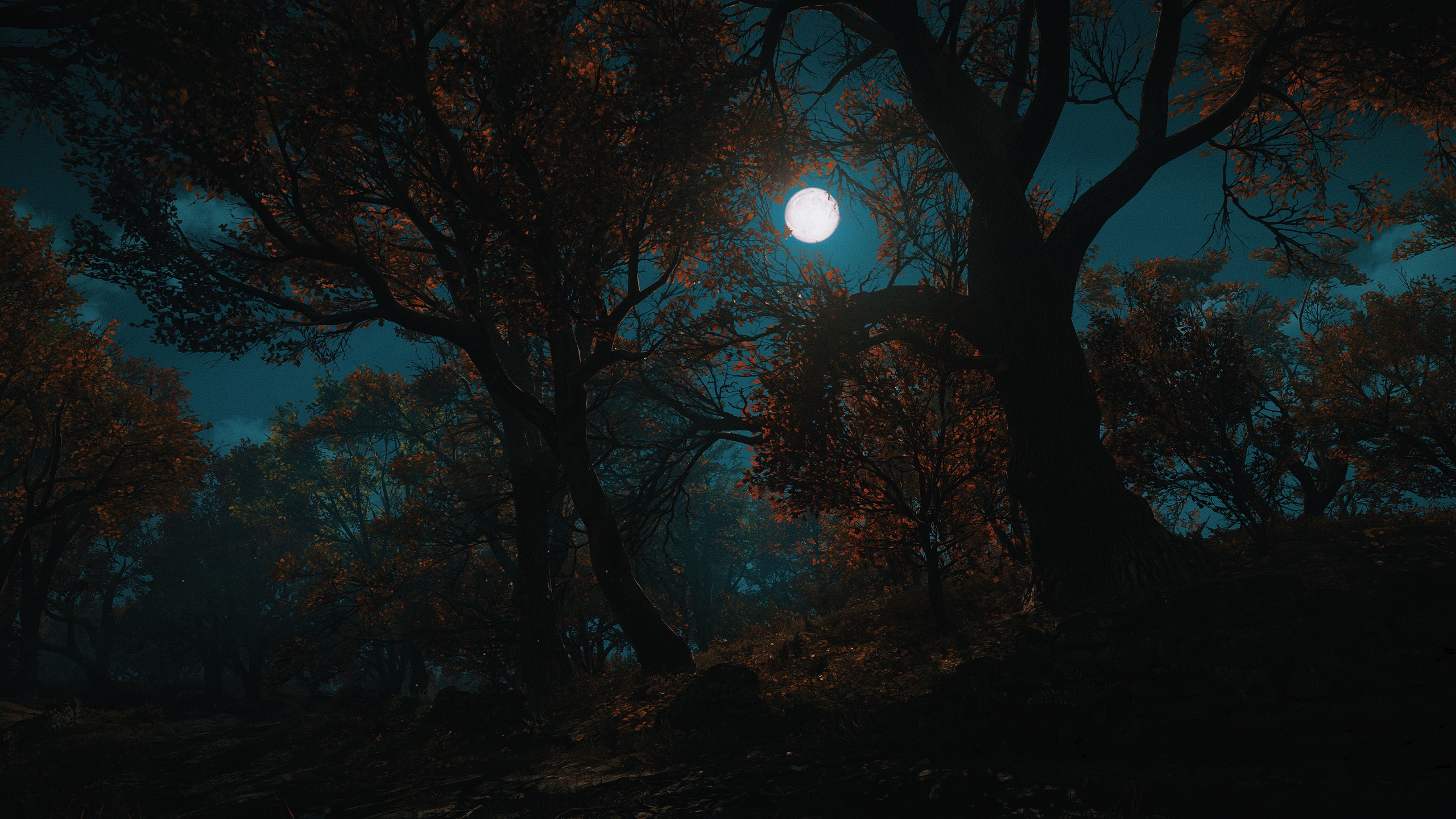 Assassin's Creed Valhalla night forest with full moon HD Wallpaper