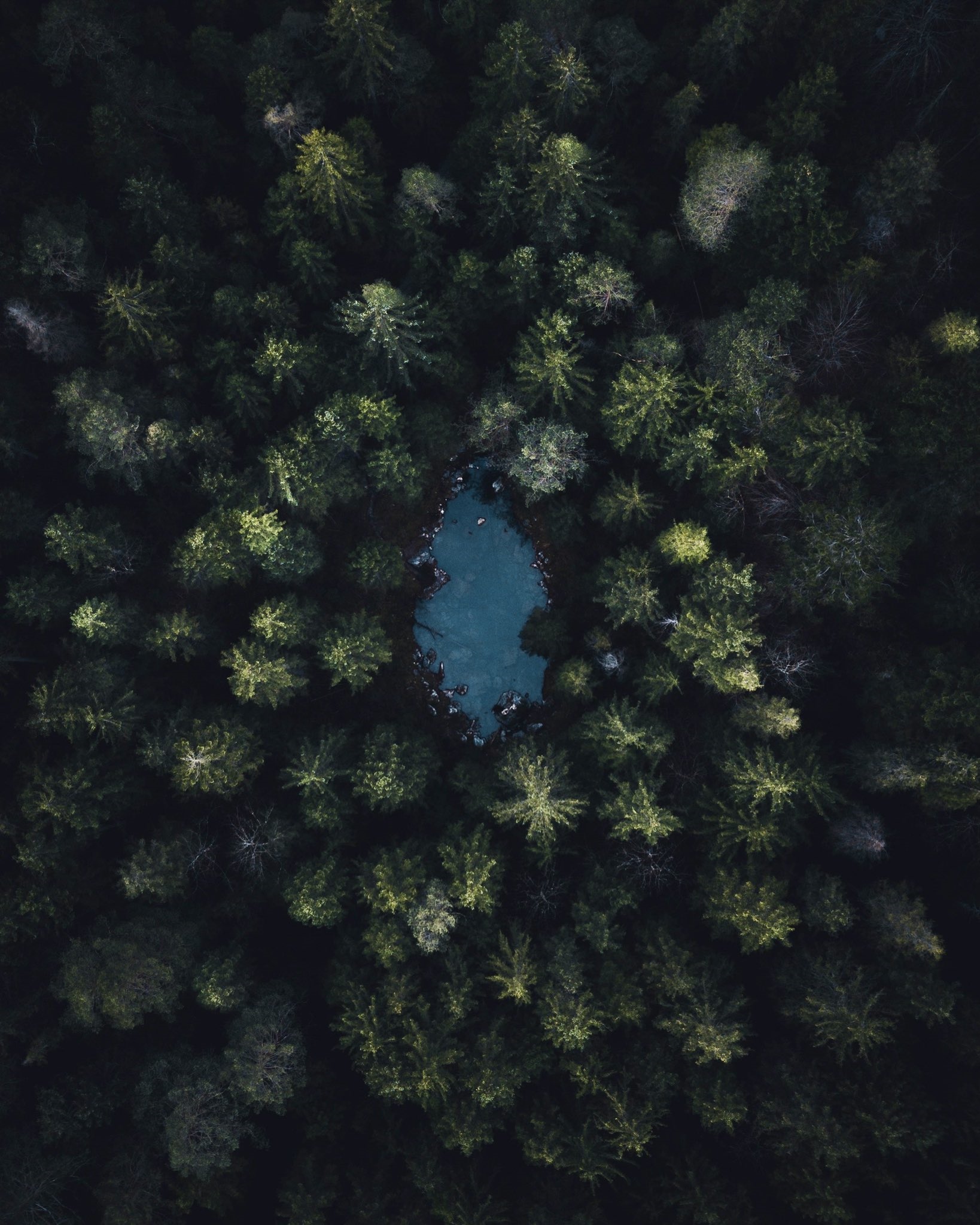 Aerial view of a forest with a pond HD Phone Wallpaper