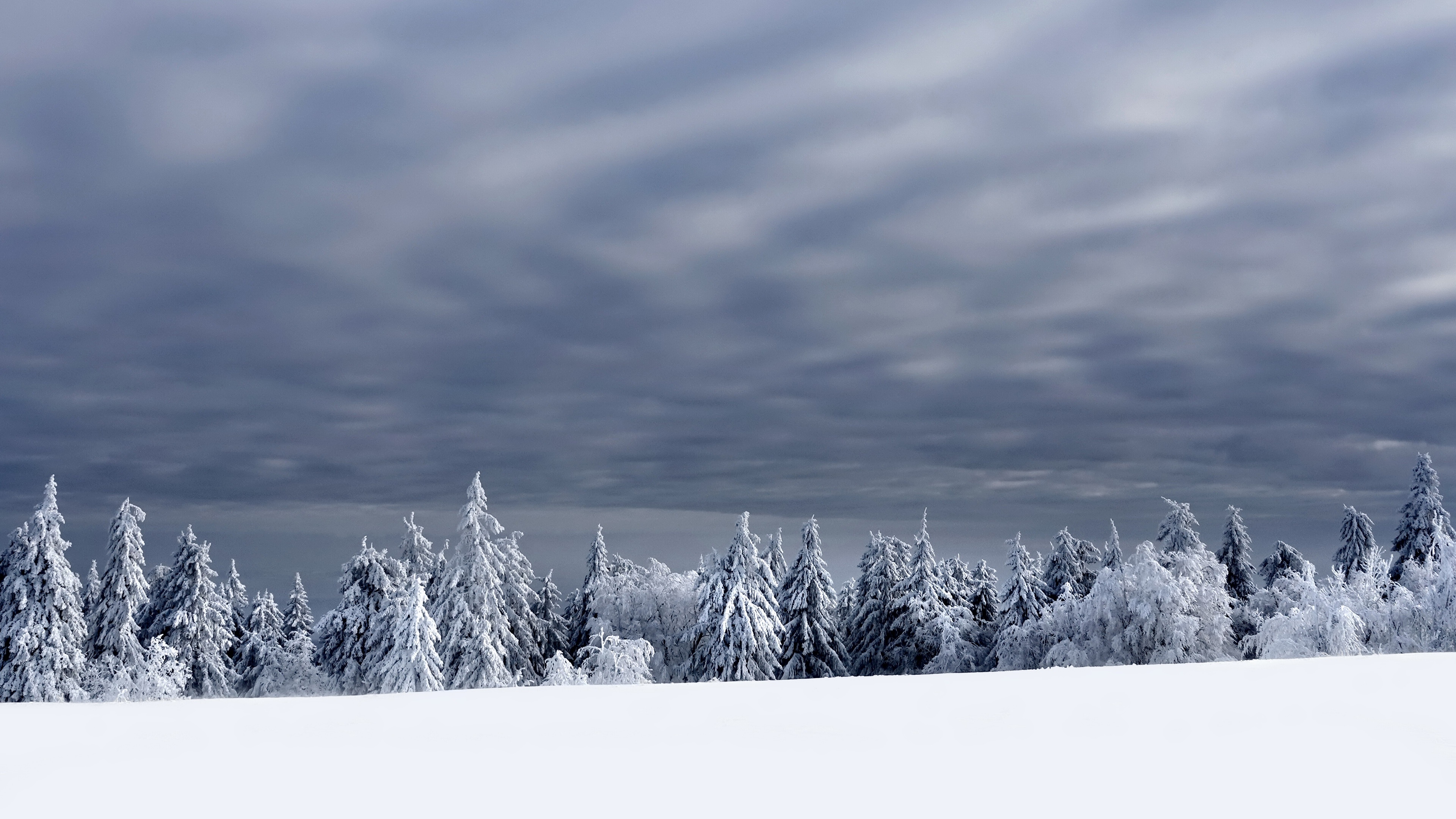 4K winter landscape with snow-covered trees and cloudy sky HD Wallpaper
