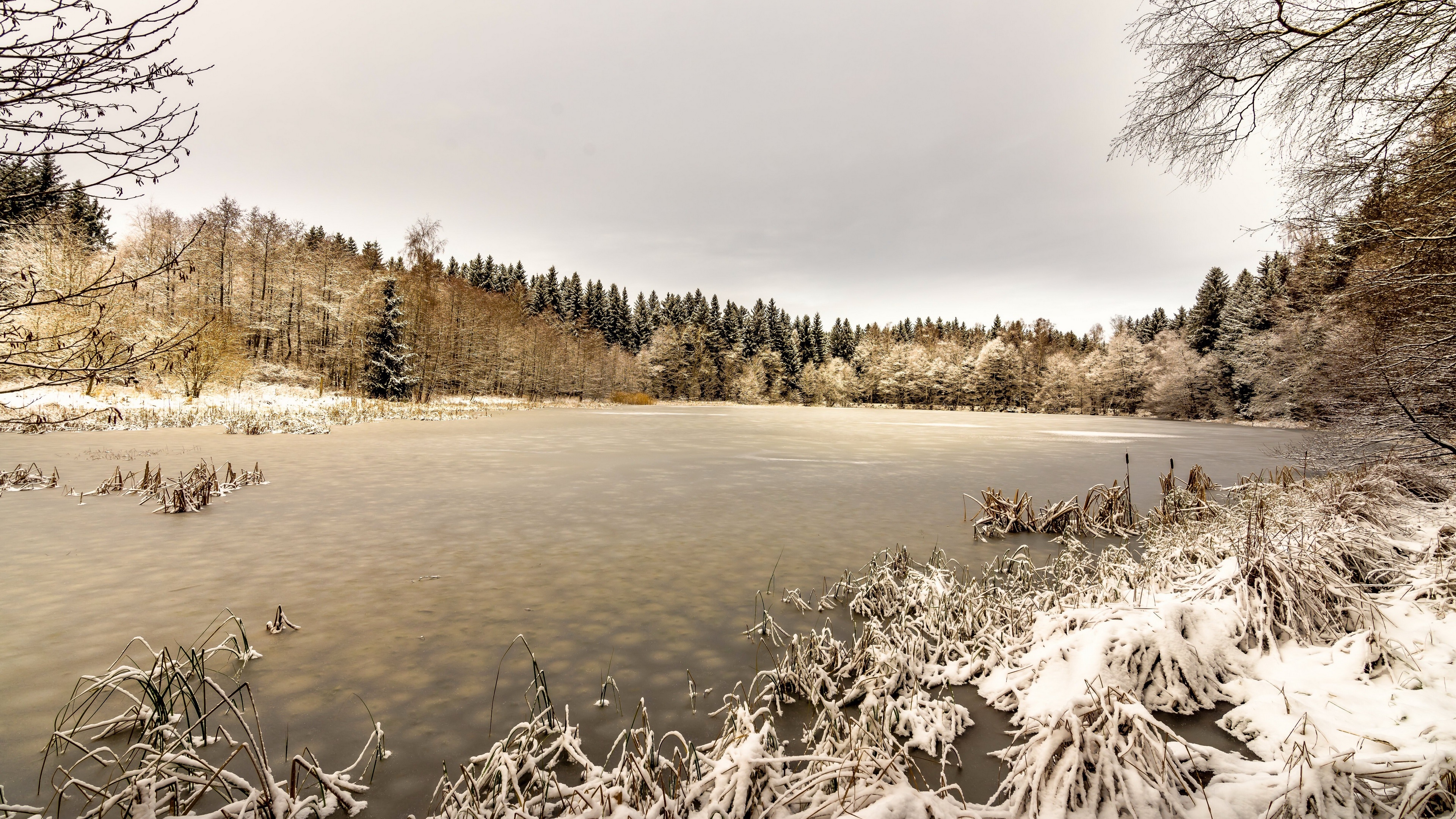 4K winter landscape with frozen lake and snow-covered trees HD Wallpaper