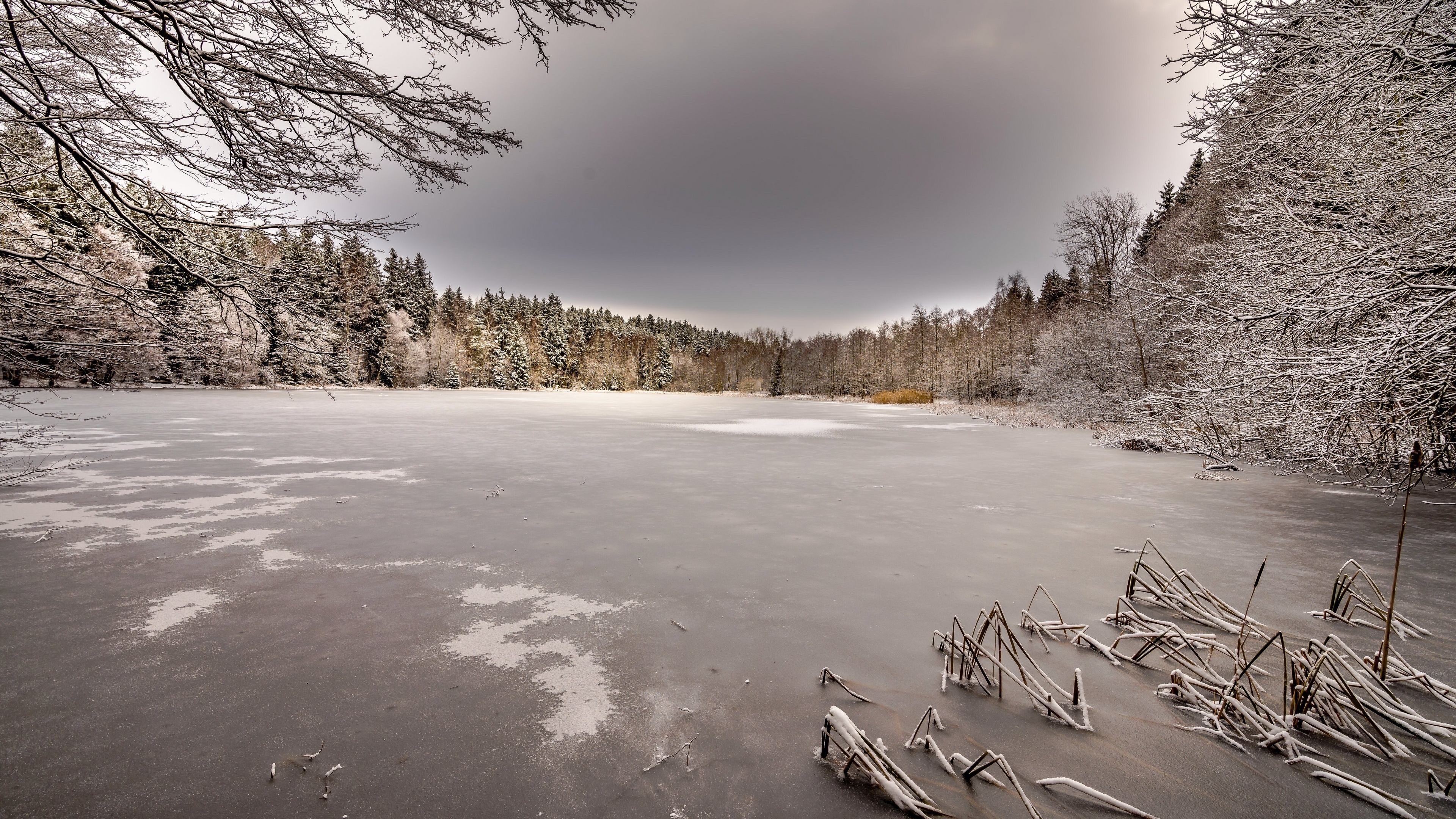 Frozen lake surrounded by snow-covered trees in winter HD Wallpaper