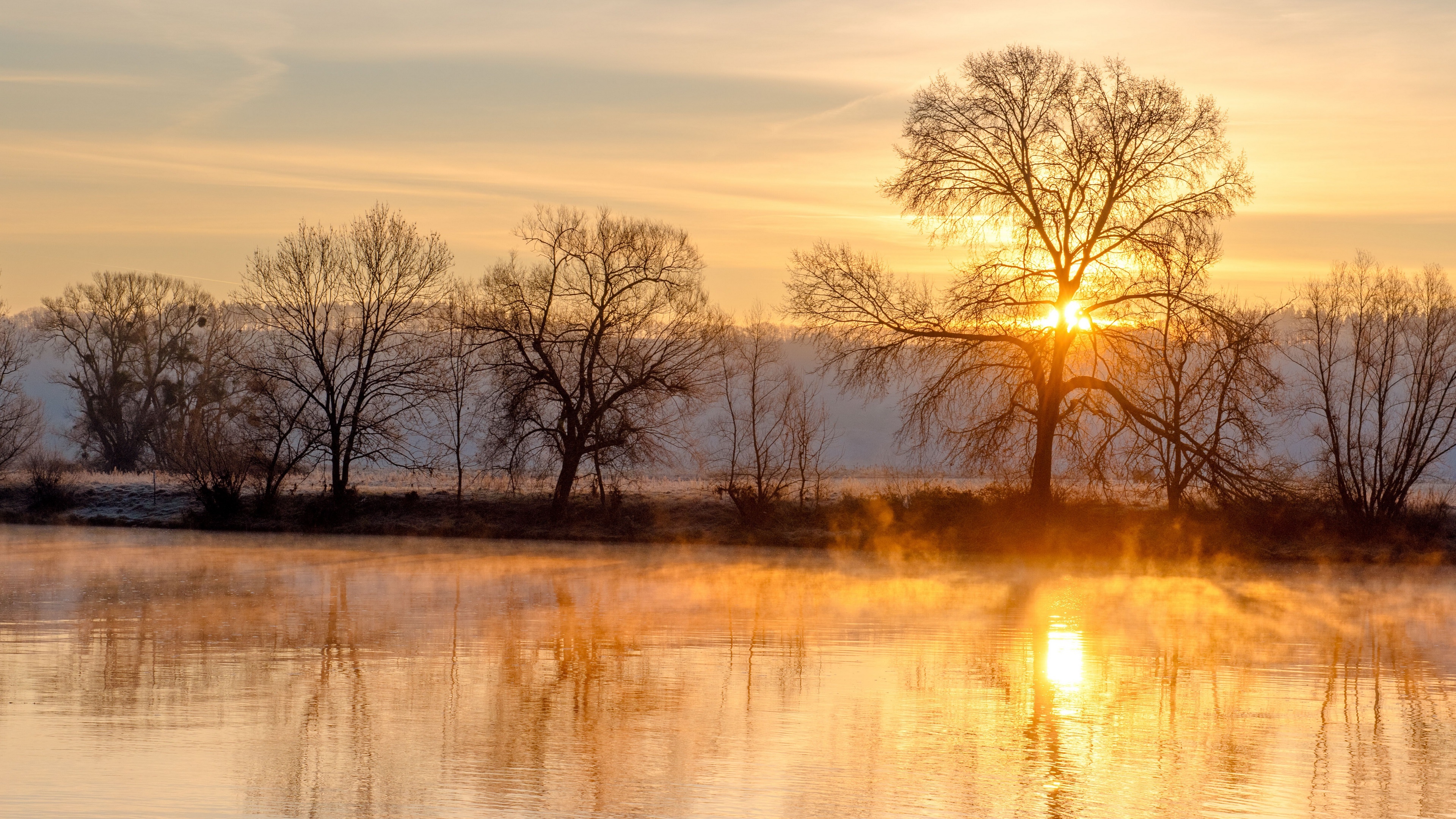 Sunrise over a misty river with bare trees HD Wallpaper
