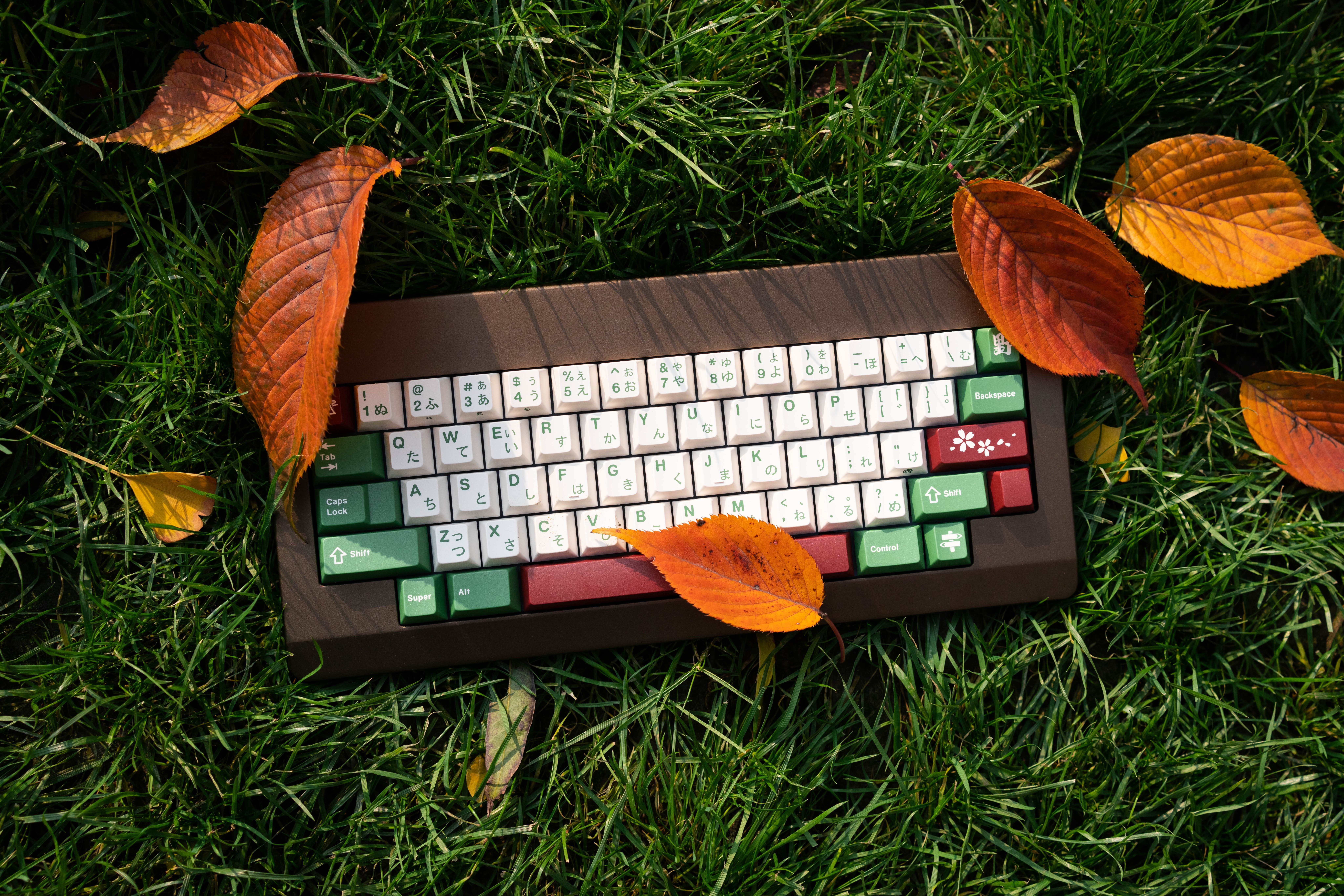 4K mechanical keyboard on grass with autumn leaves HD Wallpaper