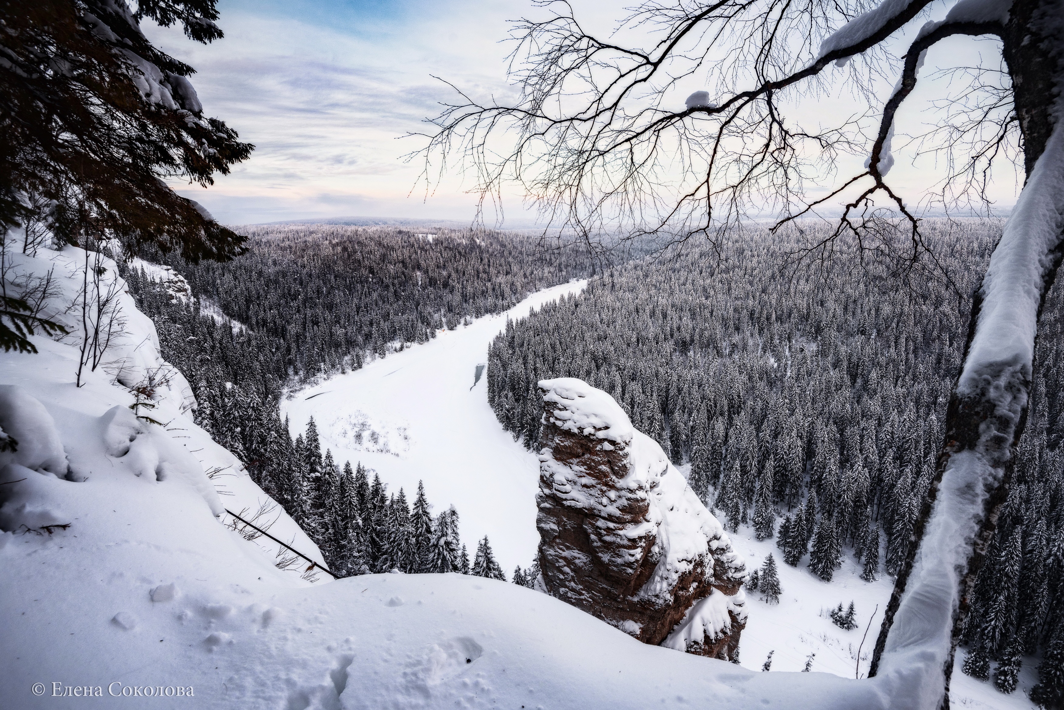 Winter forest landscape with snow-covered trees and a frozen river HD Wallpaper