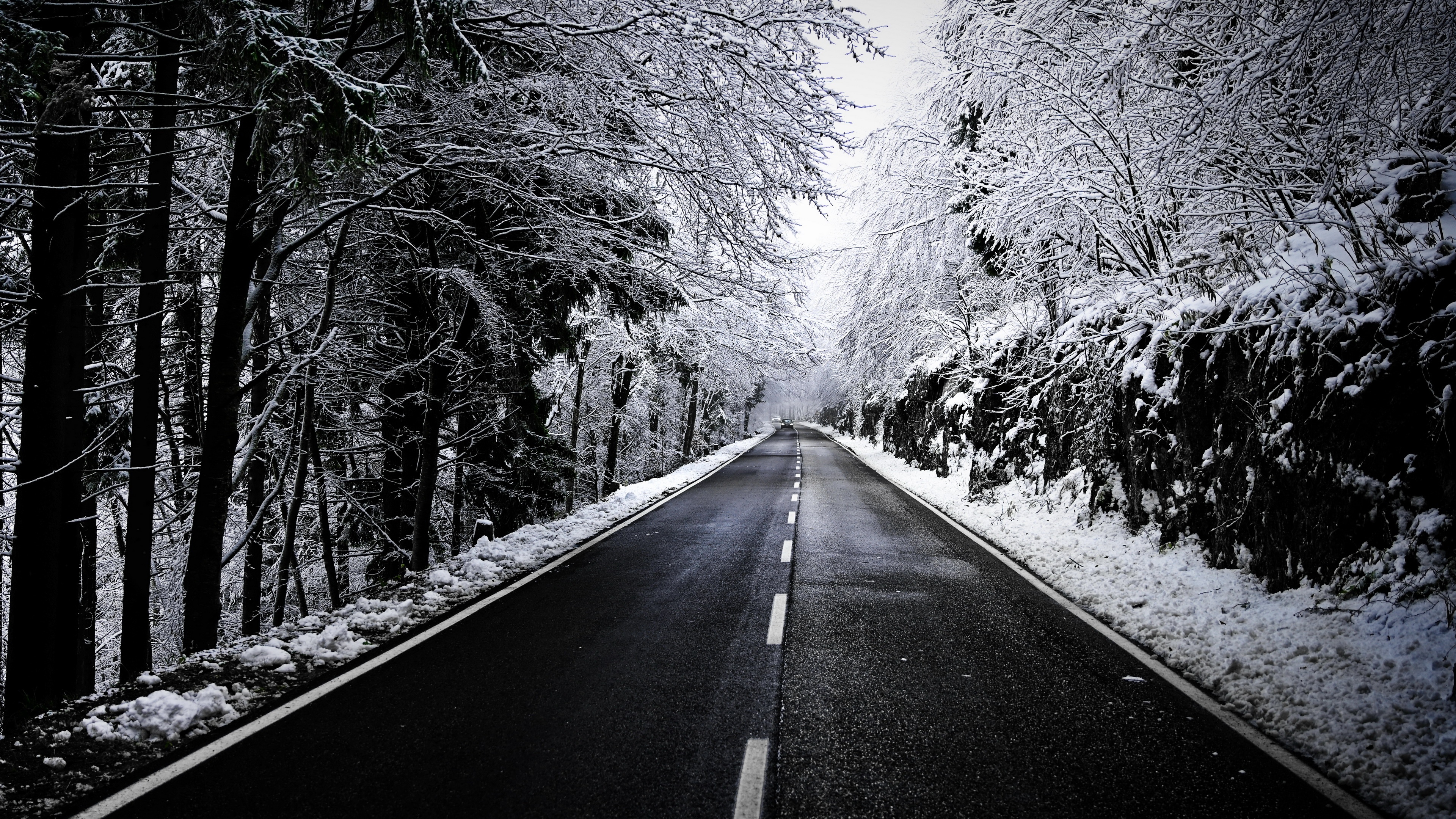 4K snow-covered road through a winter forest HD Wallpaper