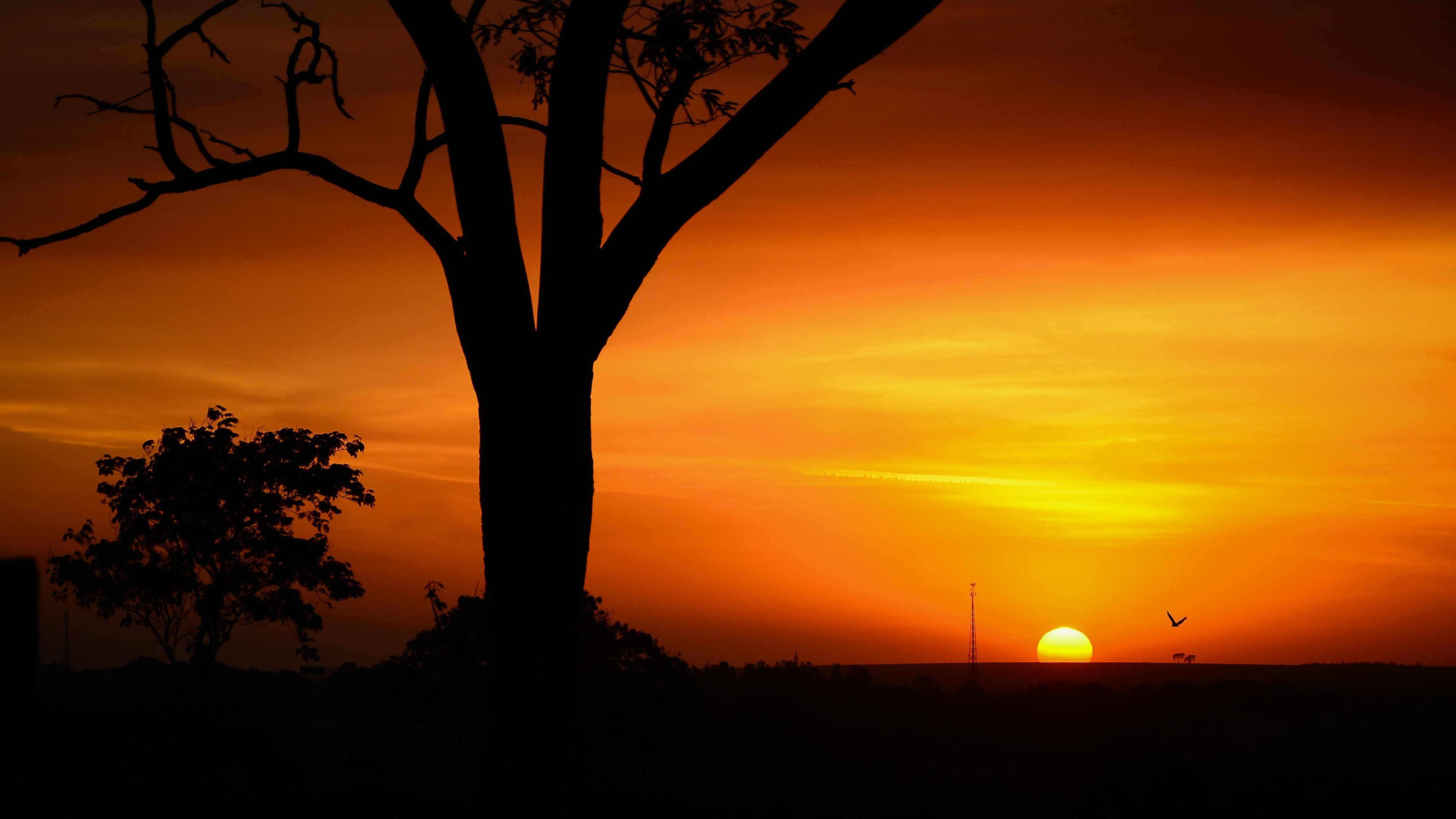 4K Brazil Sunset Landscape Silhouette HD Wallpaper