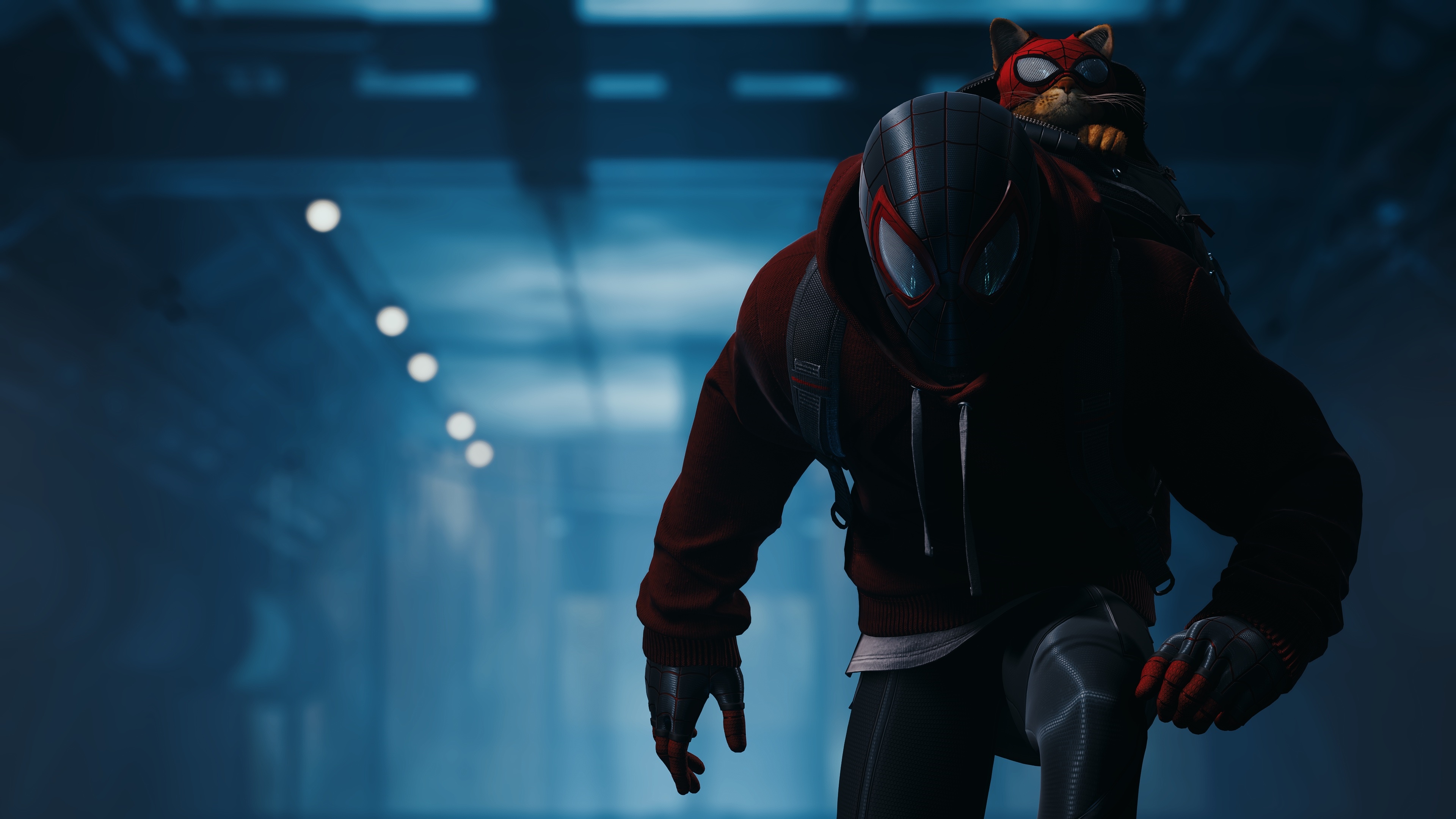 Spider-Man Miles Morales with a cat on his back HD Wallpaper