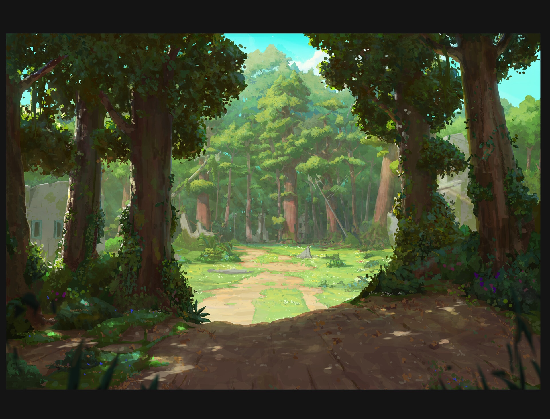 A path through a sunlit forest with large trees HD Wallpaper