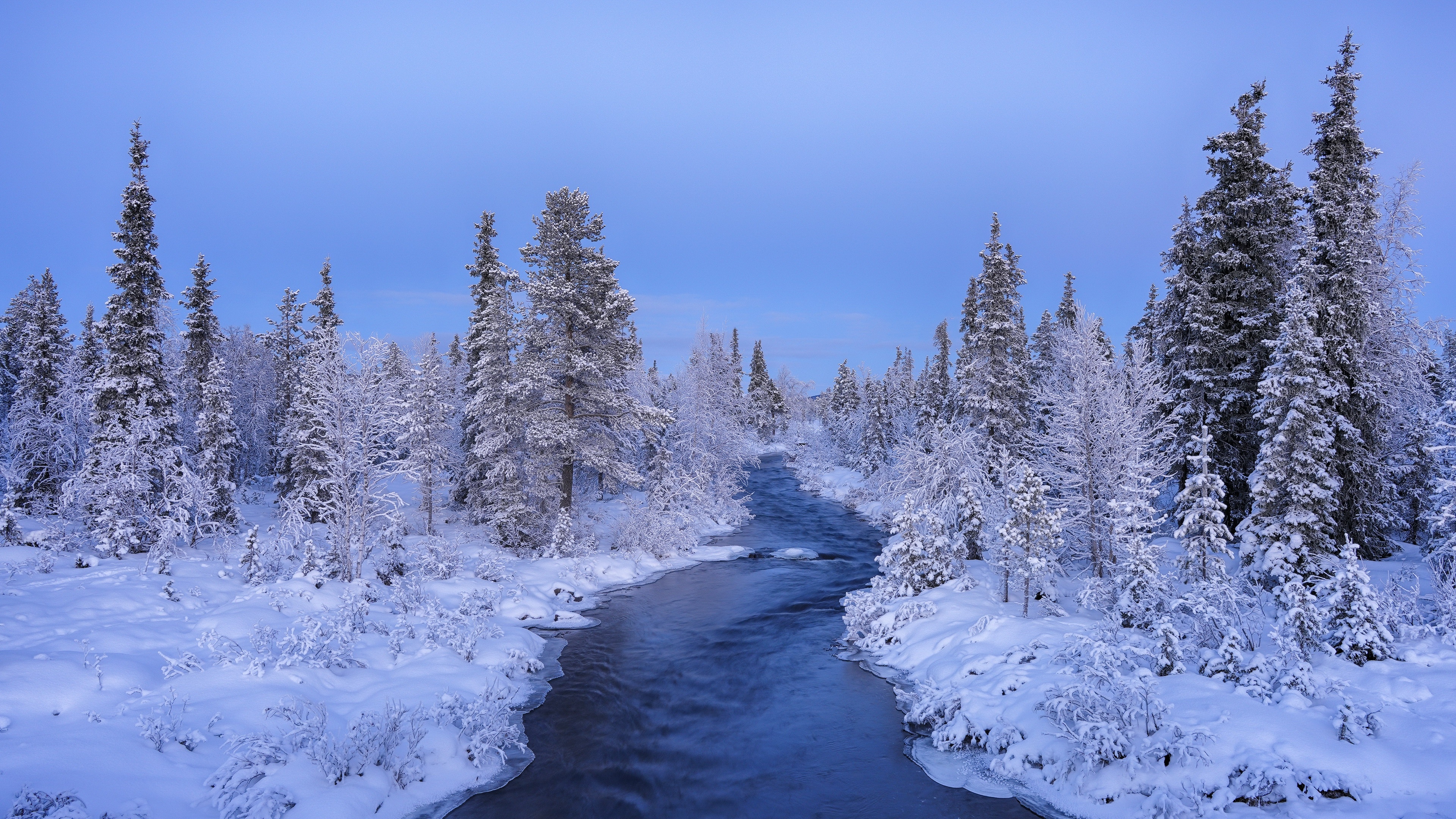 4K snow covered trees and creek in winter HD Wallpaper