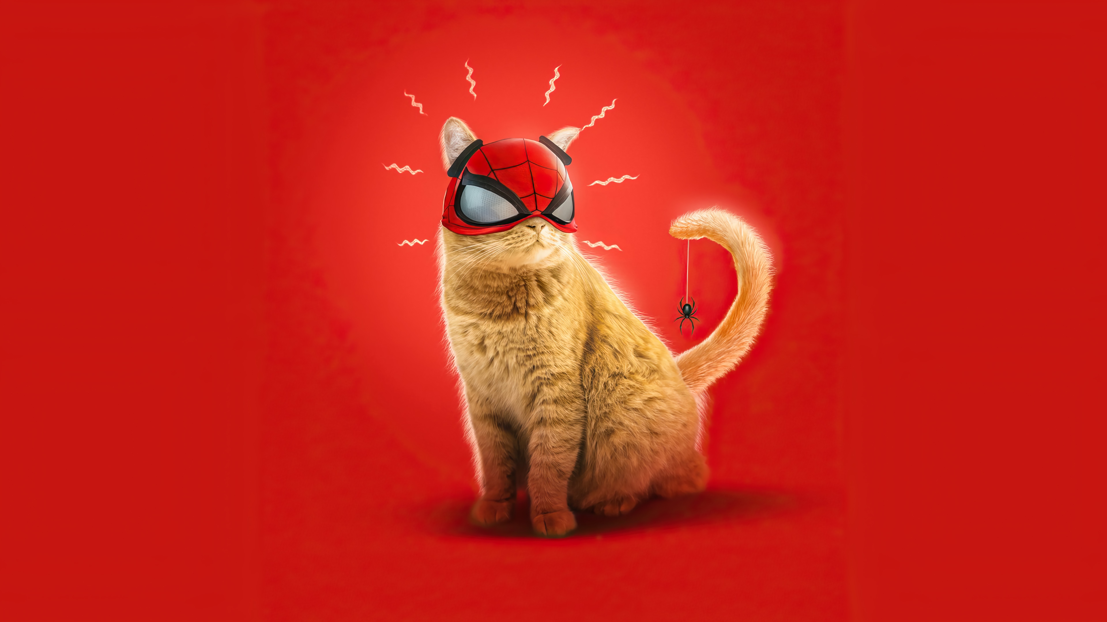4K Orange Cat Wearing Spider-Man Mask HD Wallpaper