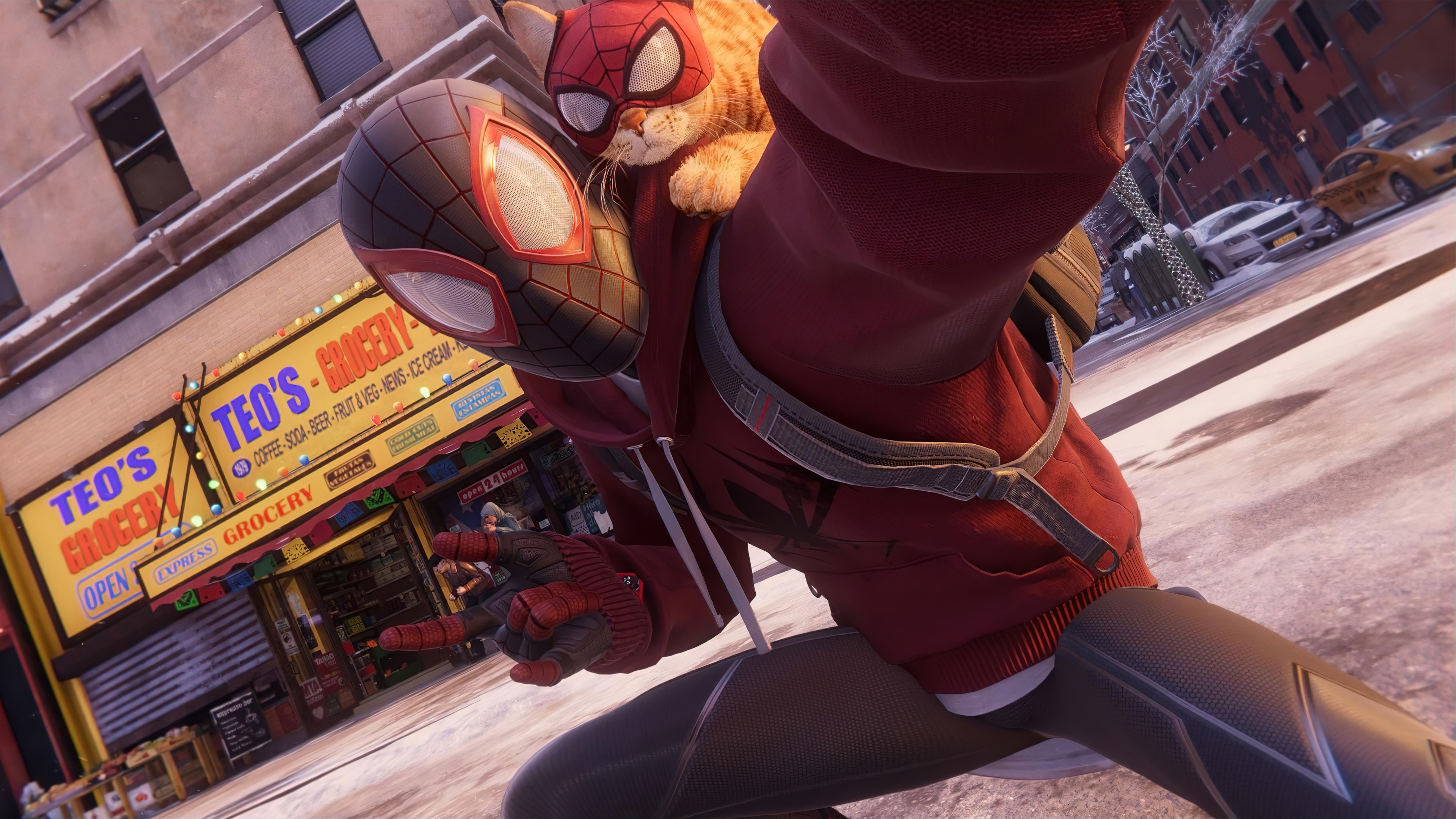 Spider-Man Miles Morales with a cat HD Wallpaper