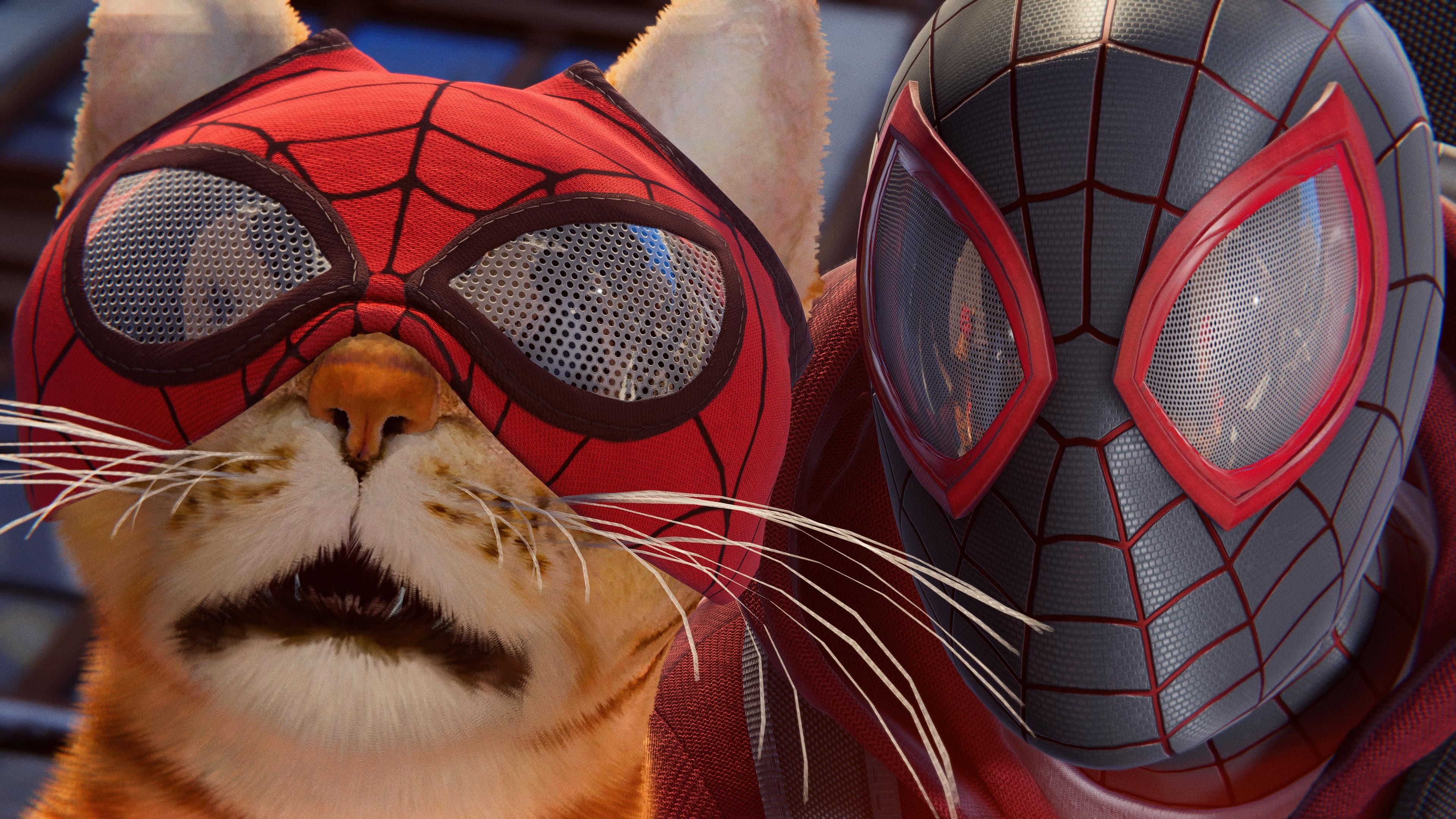 Spider-Man and Spider-Cat HD Wallpaper