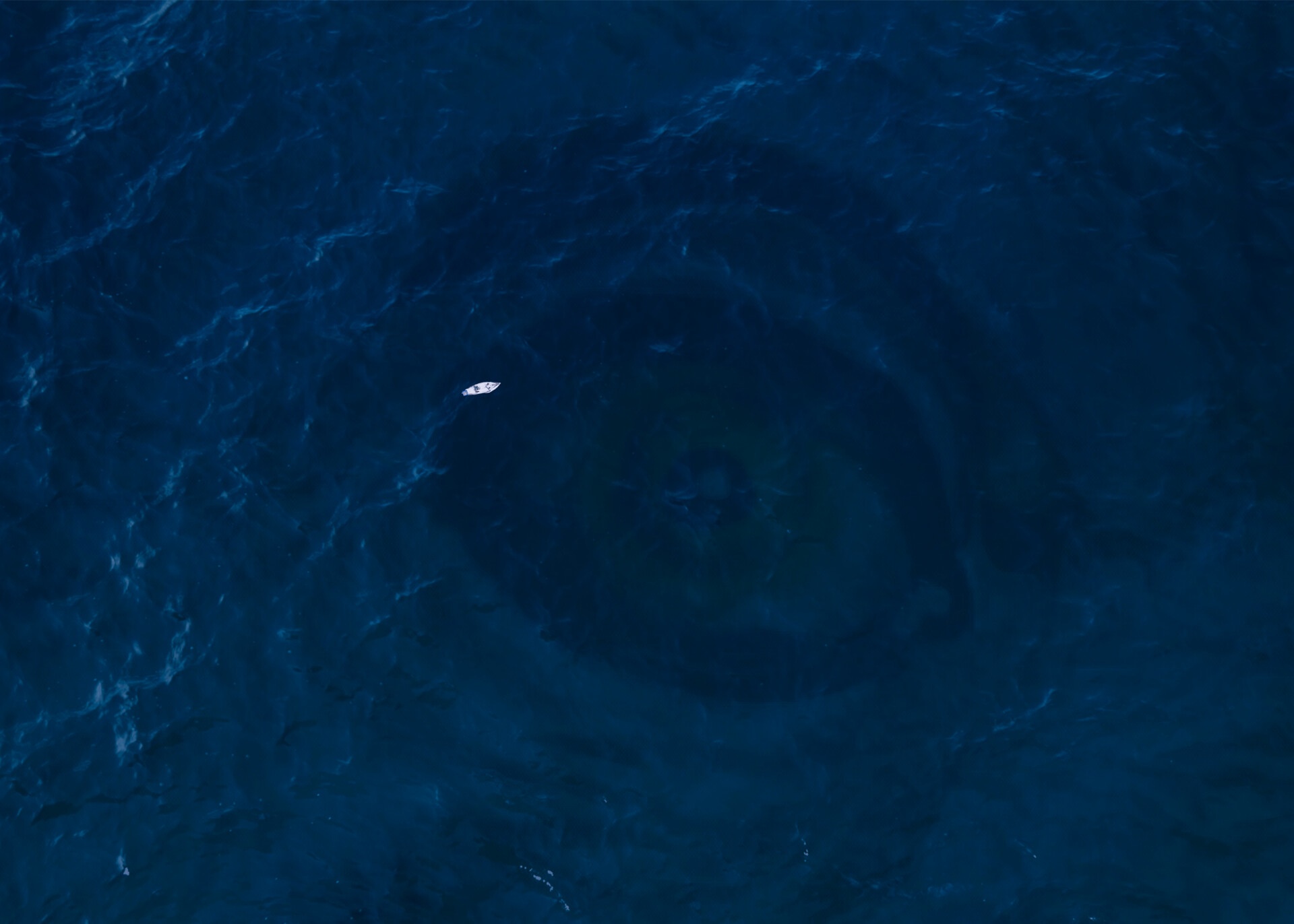Aerial view of a boat near a giant sea creature HD Wallpaper