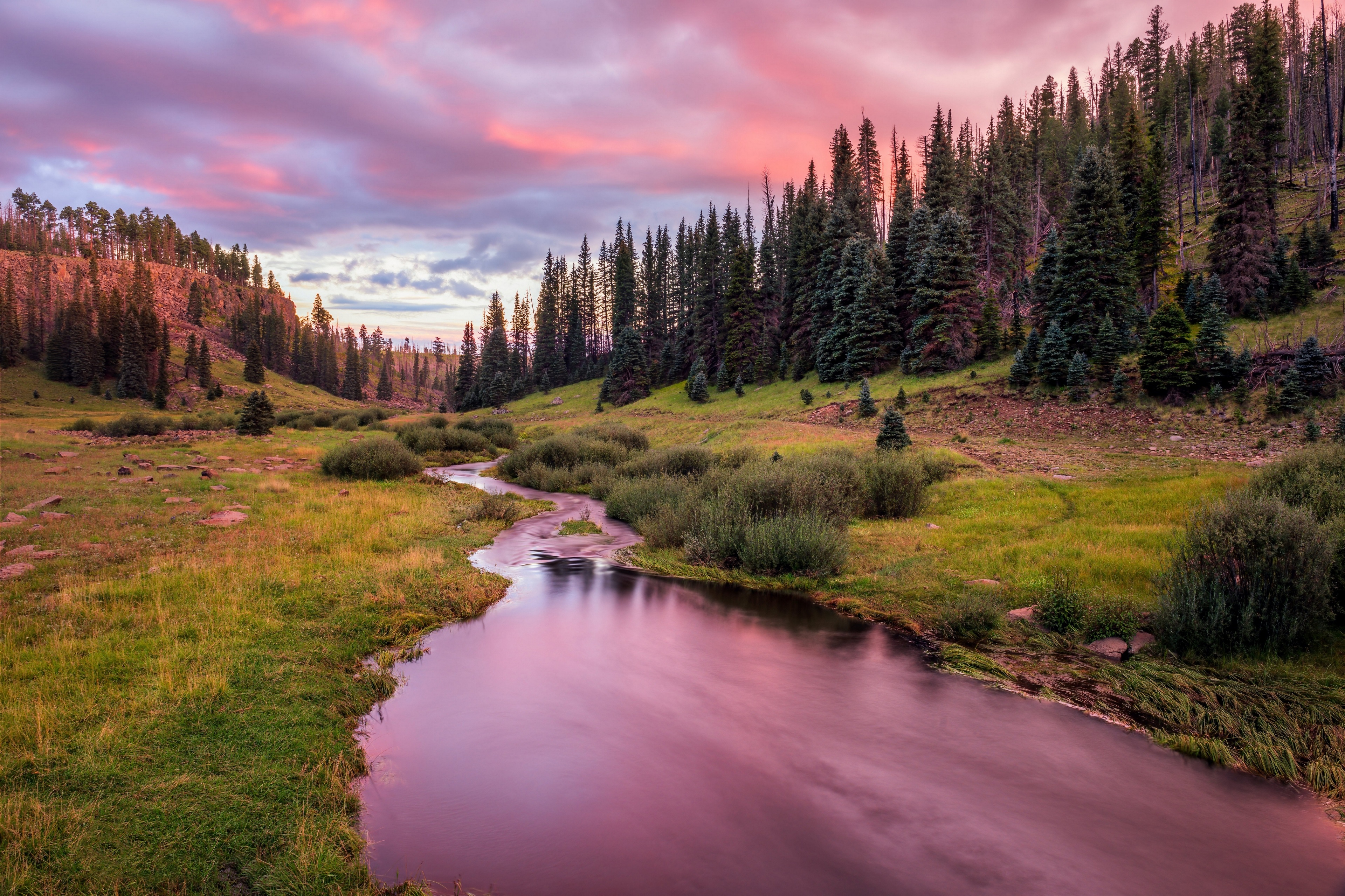 4K river flowing through a forest at sunset HD Wallpaper