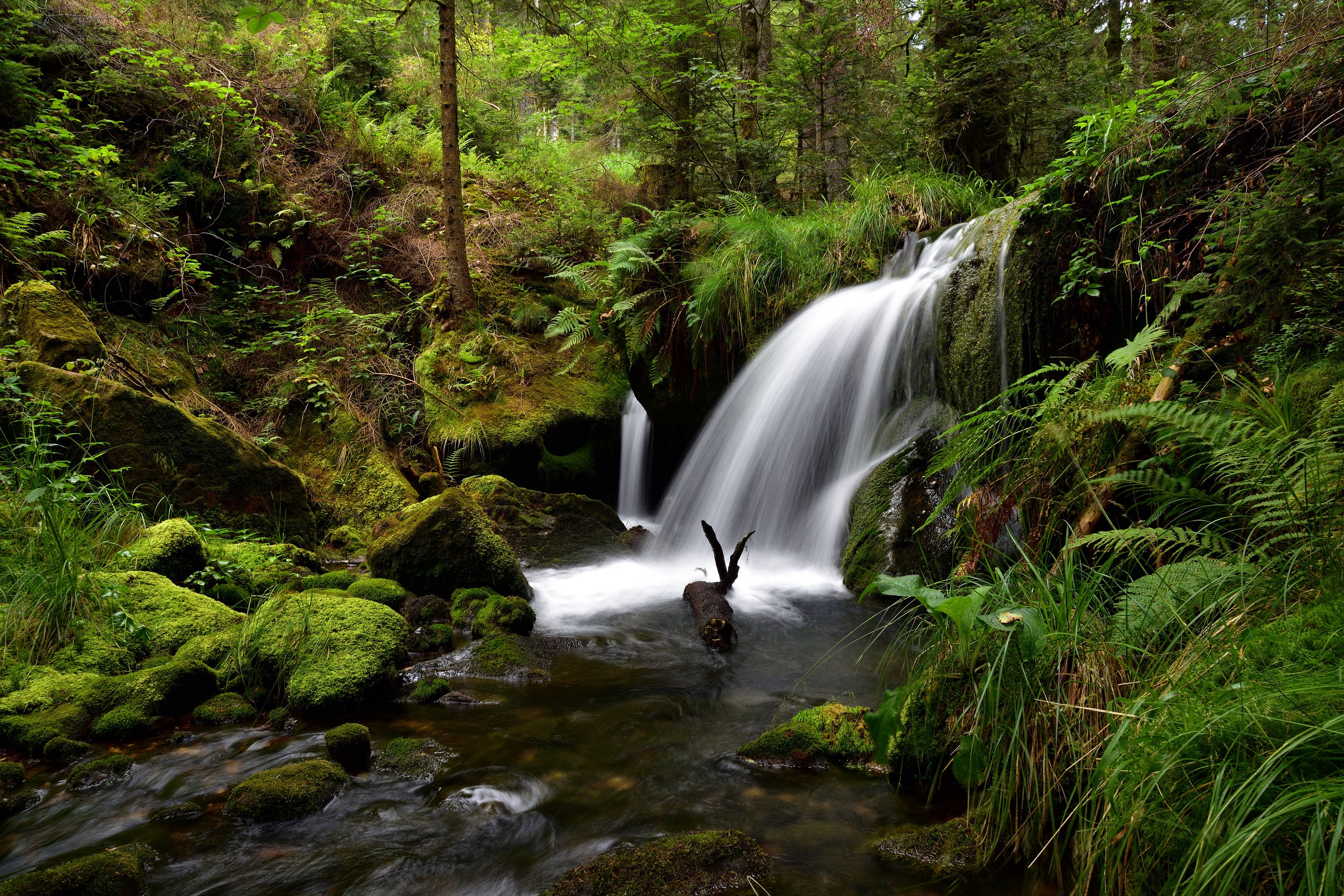 Waterfall in a mossy forest in France HD Wallpaper