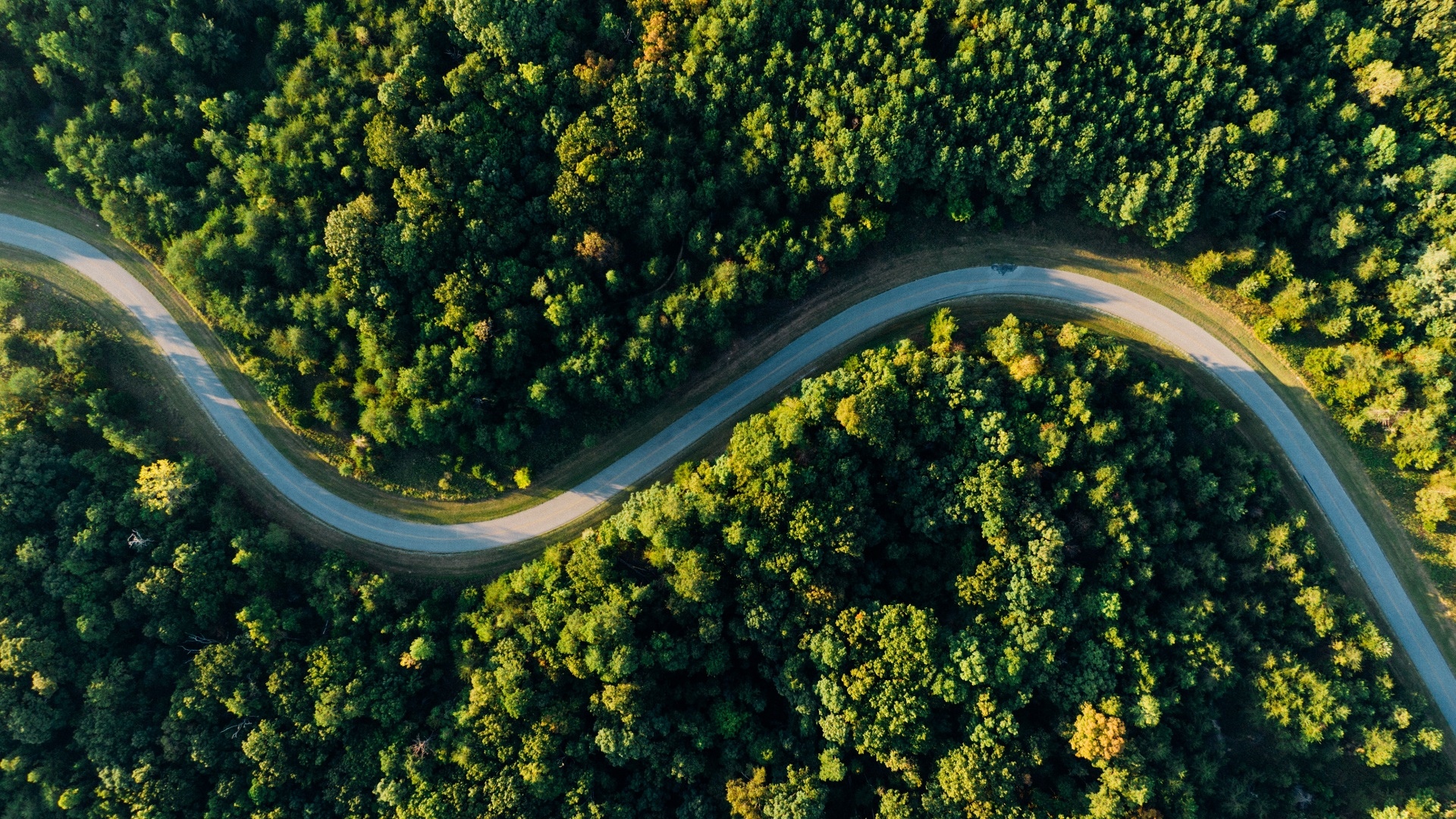 Aerial view of a winding road through a dense forest HD Wallpaper