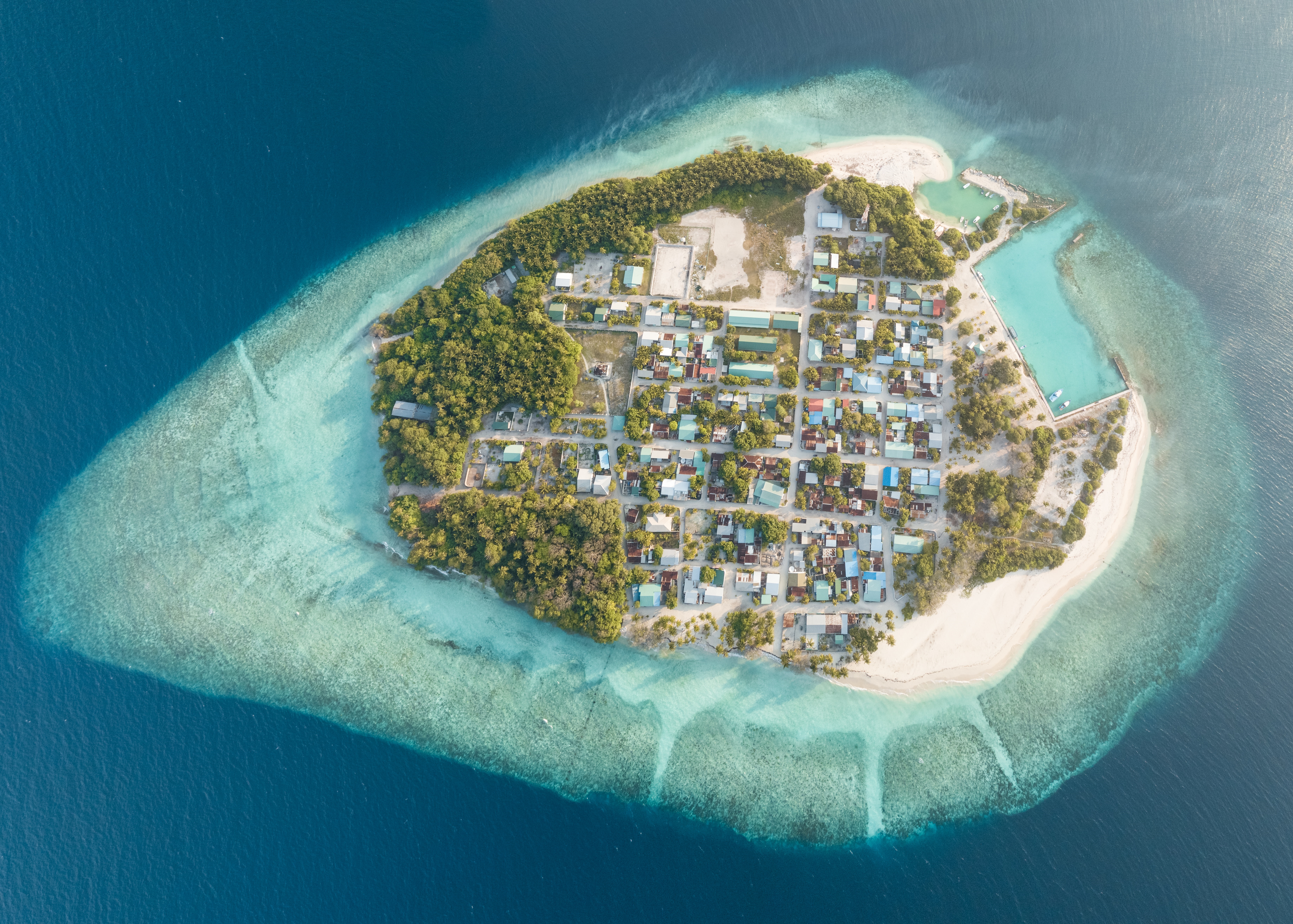 Aerial view of an island in the Maldives HD Wallpaper