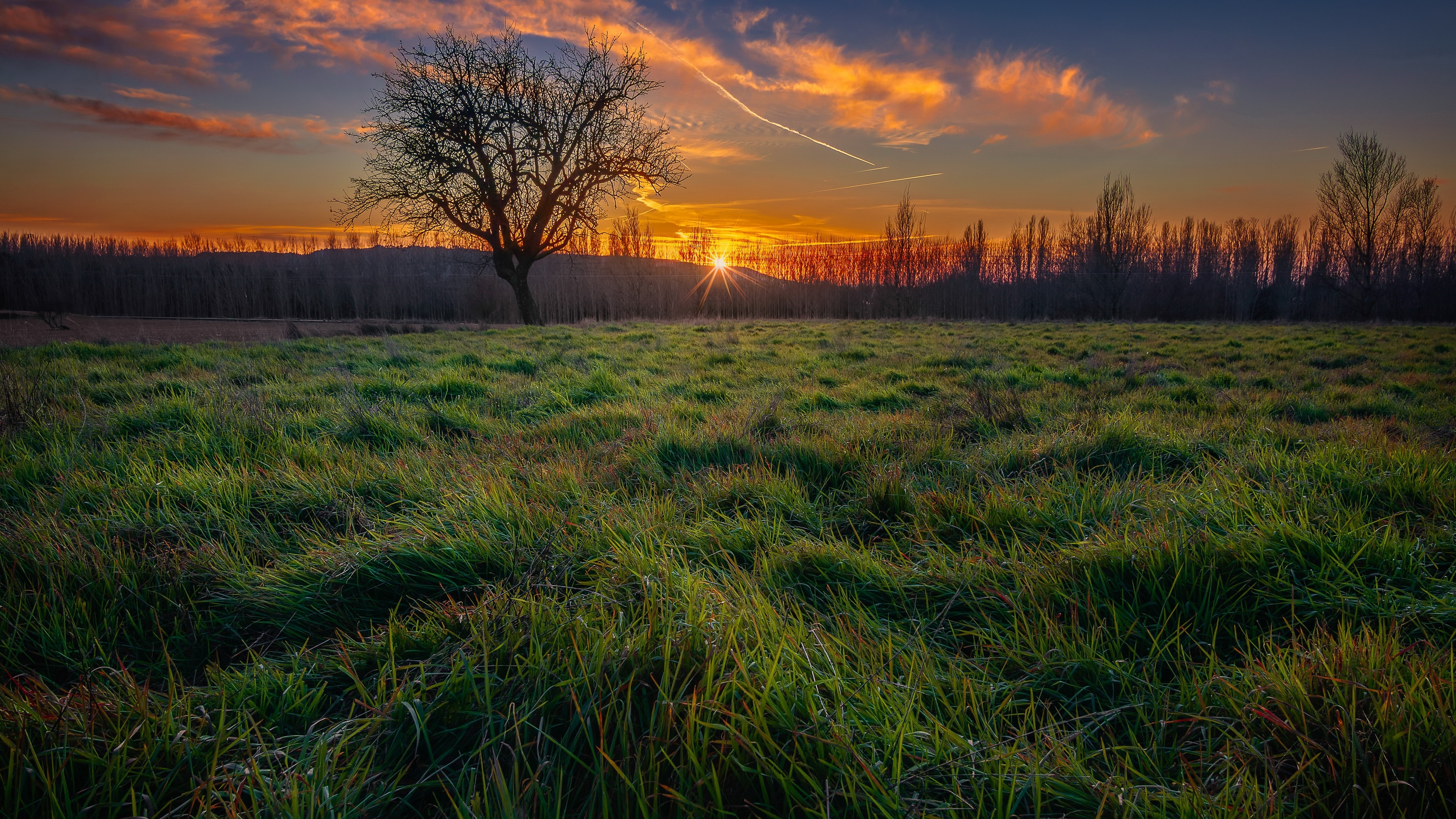 4K Orange Sky Over a Field at Sunset HD Wallpaper