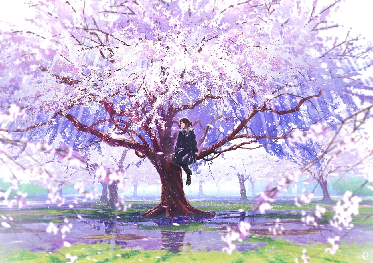 Girl in school uniform sitting on a cherry blossom tree HD Wallpaper
